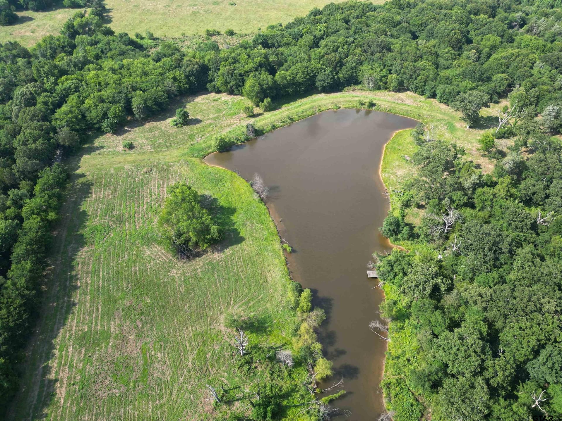 29.3 acres in Hopkins County - photo 10