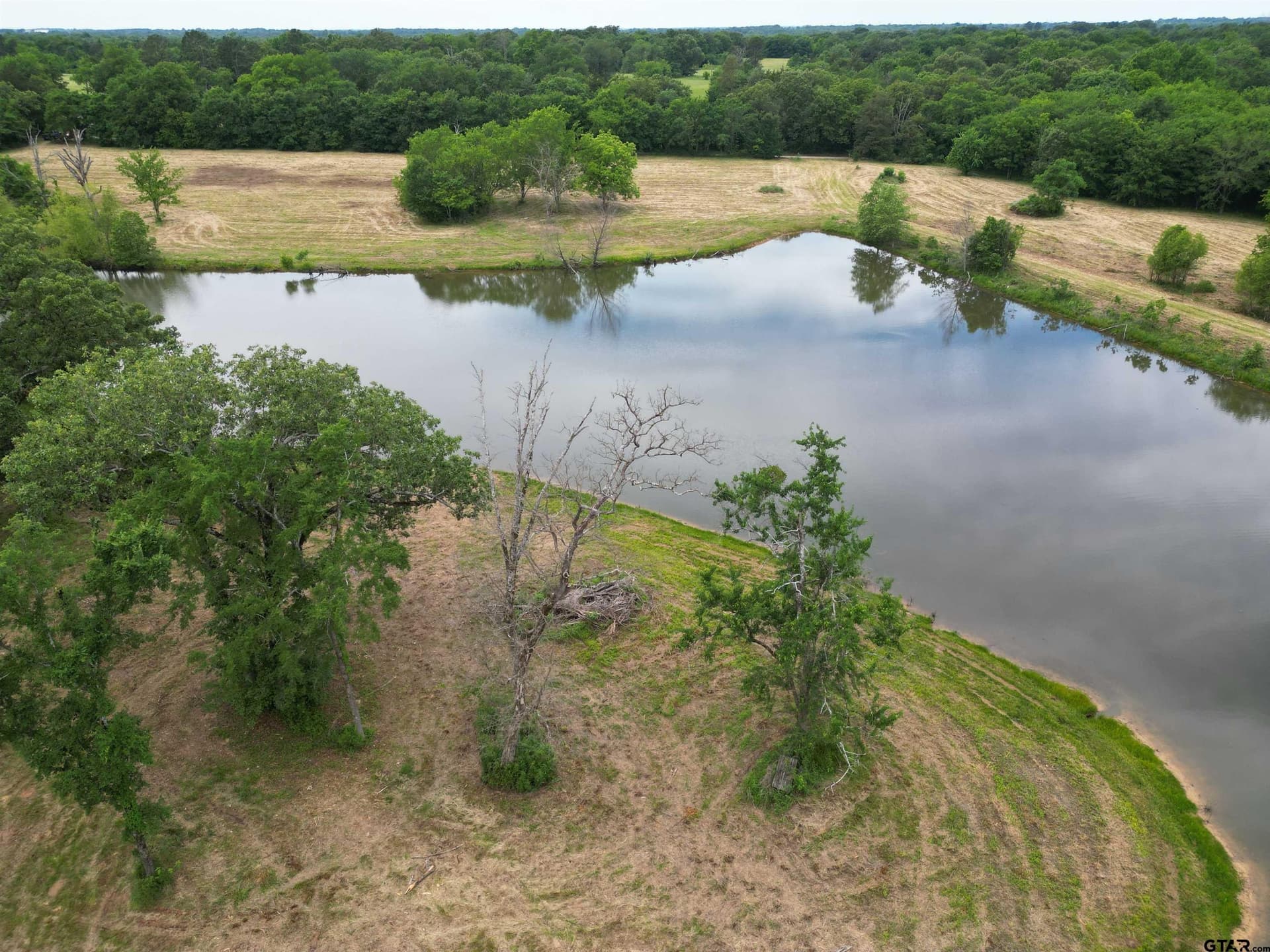 29.3 acres in Hopkins County - photo 19