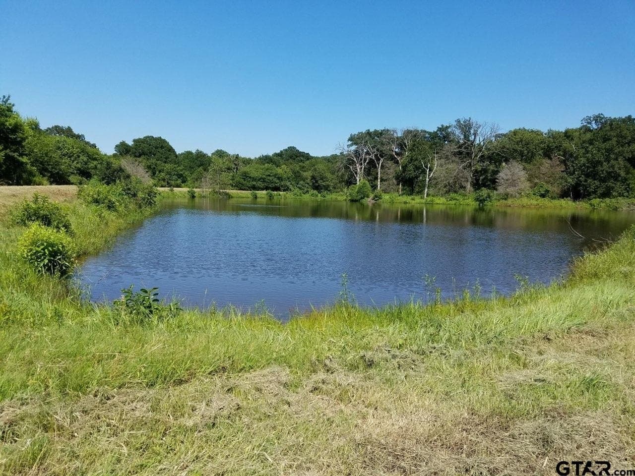 29.3 acres in Hopkins County - photo 13
