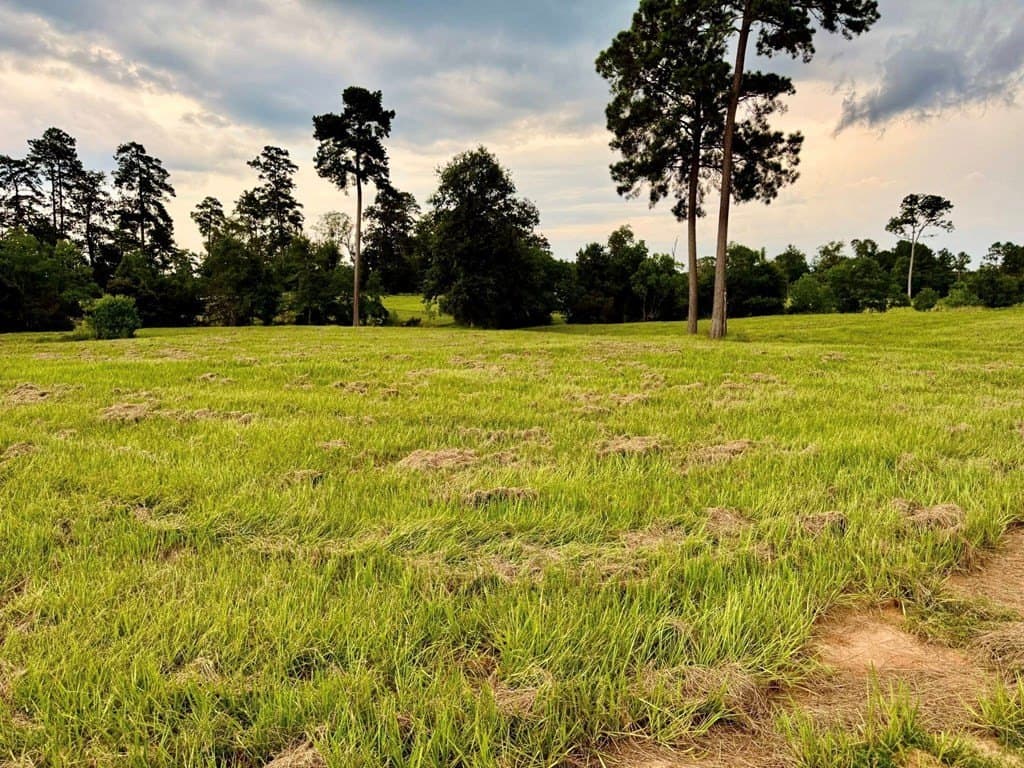 4.97 acres in Texas County - photo 19
