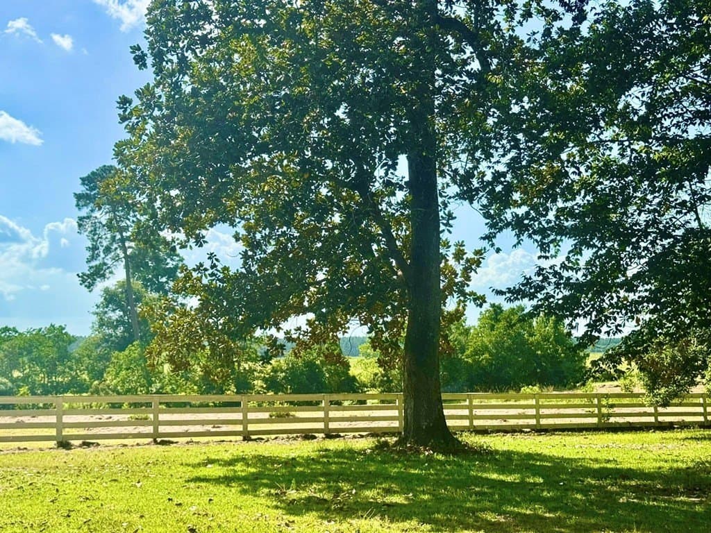 4.97 acres in Texas County - photo 13