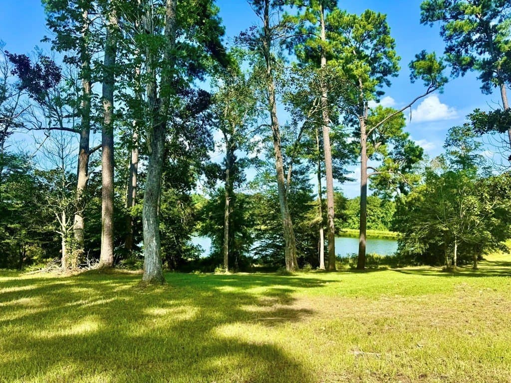 4.97 acres in Texas County - photo 5