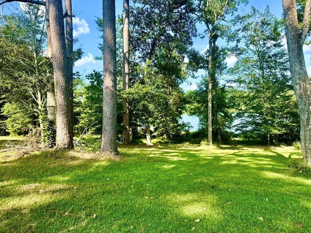 4.97 acres in Texas County - photo 10