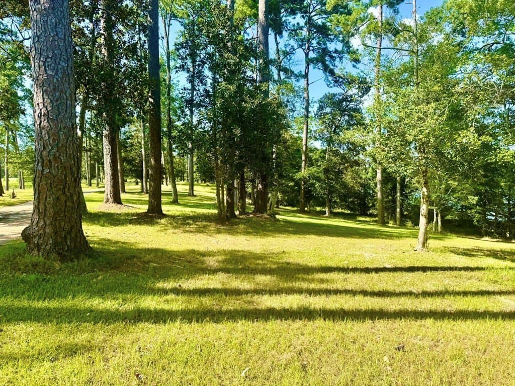 4.97 acres in Texas County - photo 8