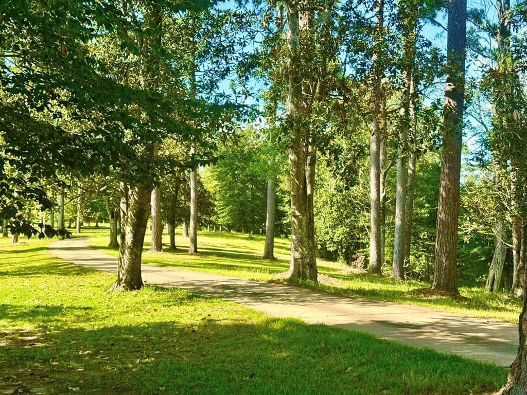 4.97 acres in Texas County - photo 11