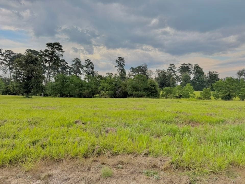 4.97 acres in Texas County - photo 16