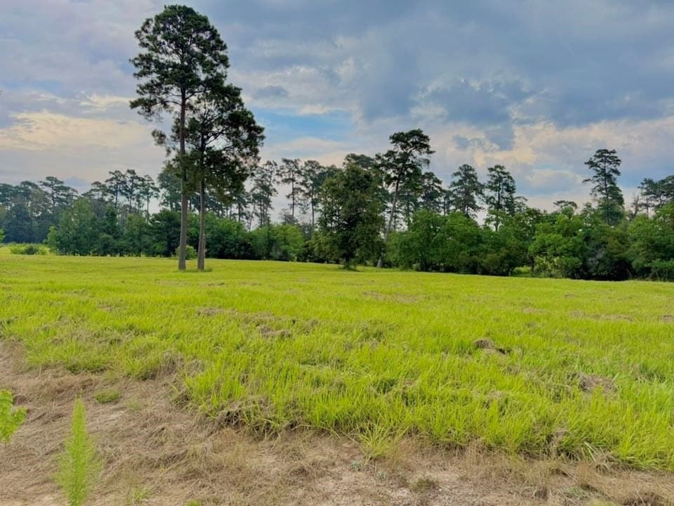 4.97 acres in Texas County - photo 15