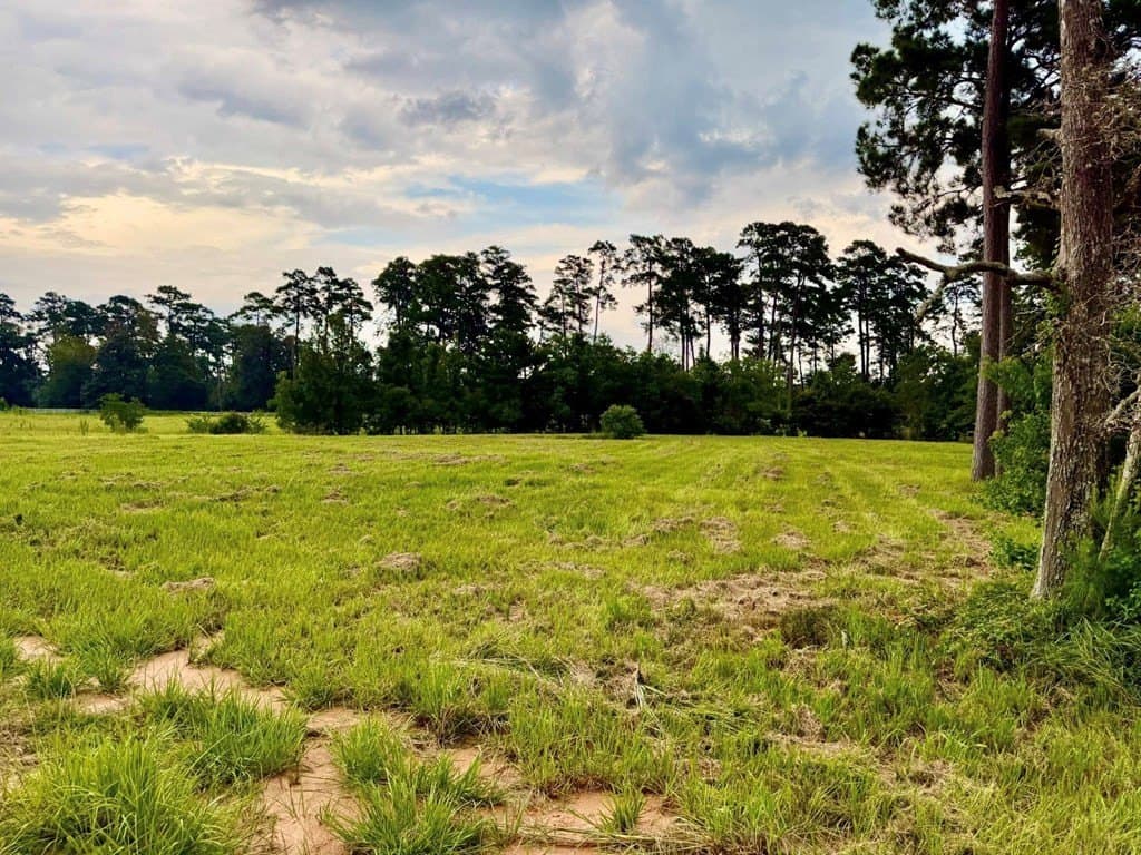 4.97 acres in Texas County - photo 17