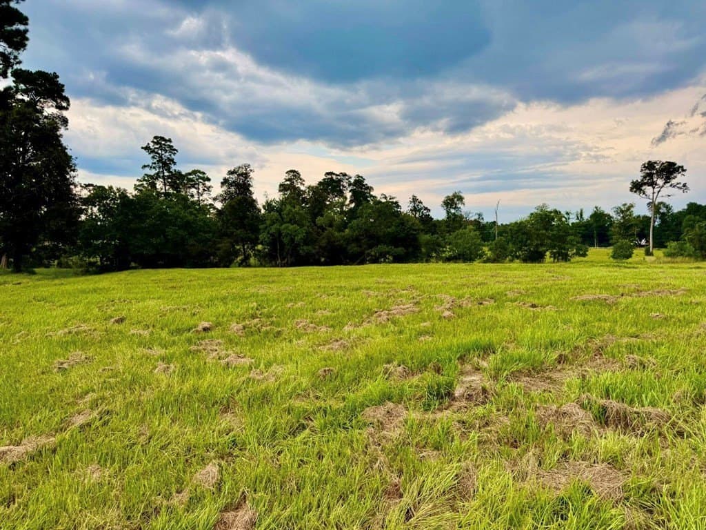 4.97 acres in Texas County - photo 14