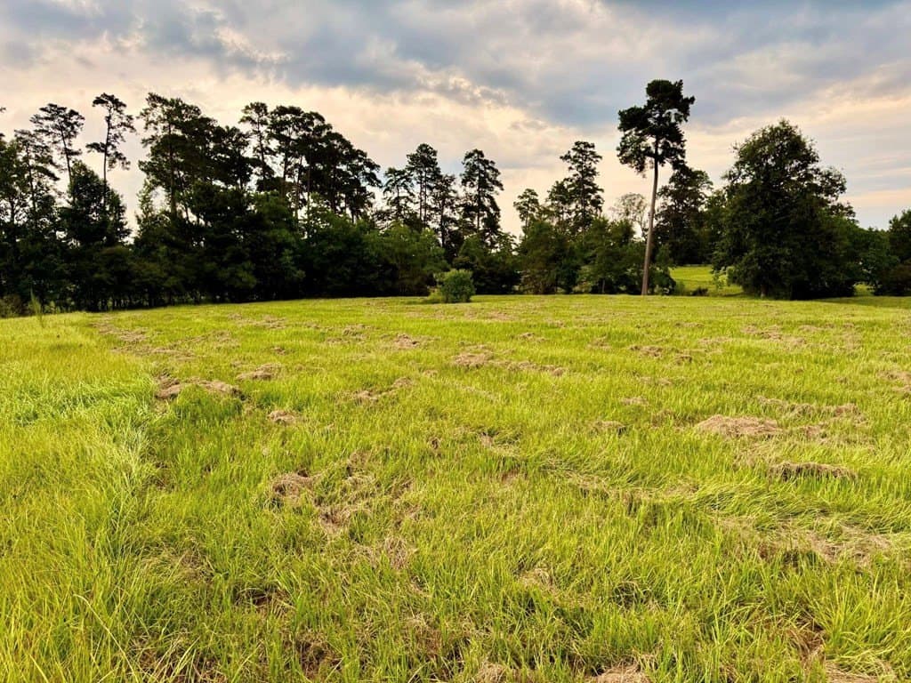 4.97 acres in Texas County - photo 18