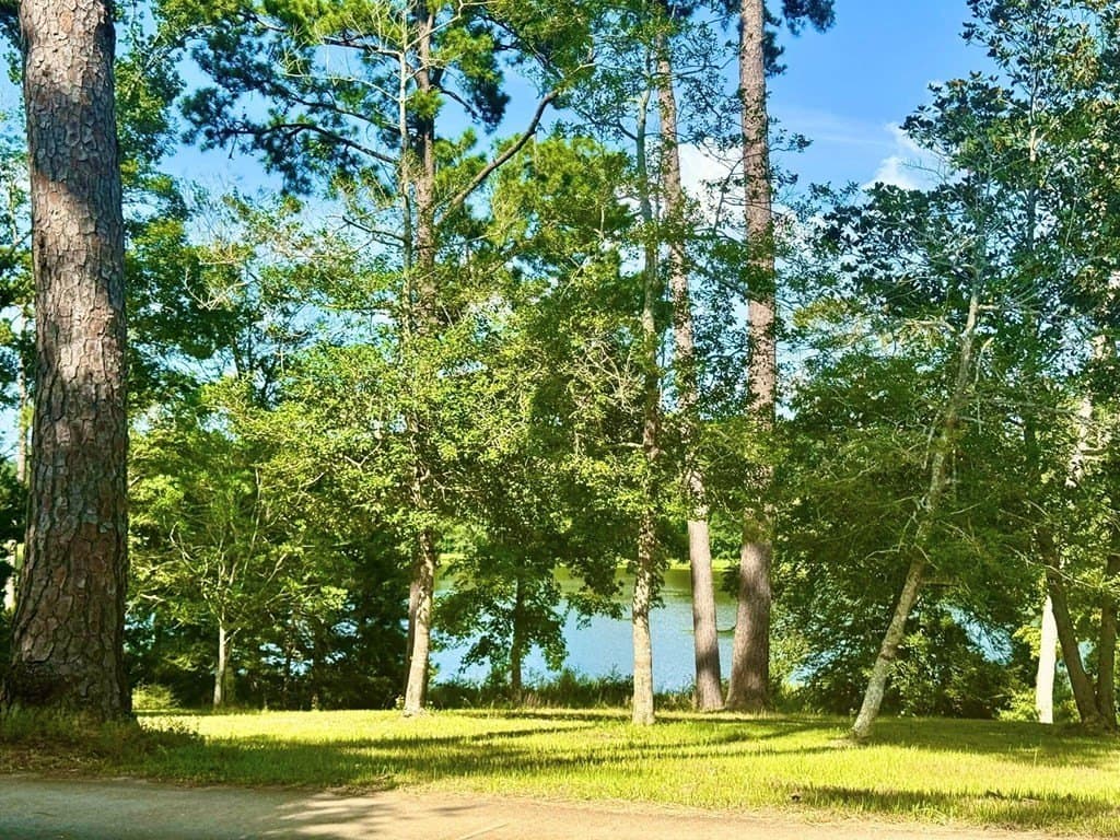 4.97 acres in Texas County - photo 4