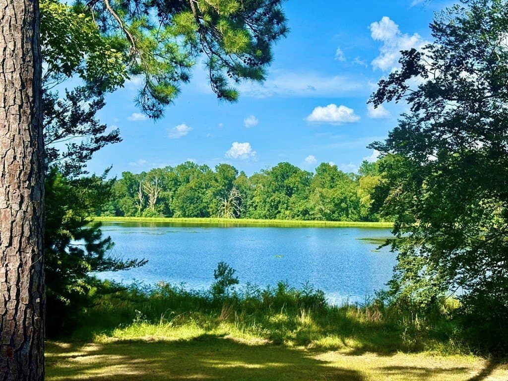 4.97 acres in Texas County - photo 2