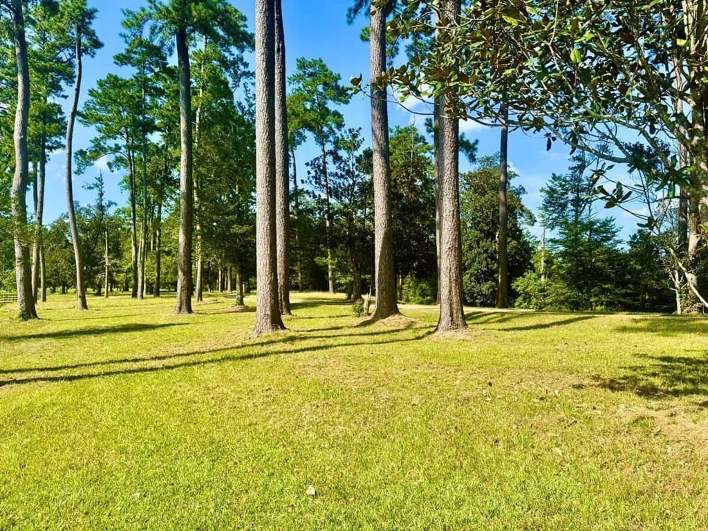 4.97 acres in Texas County - photo 9