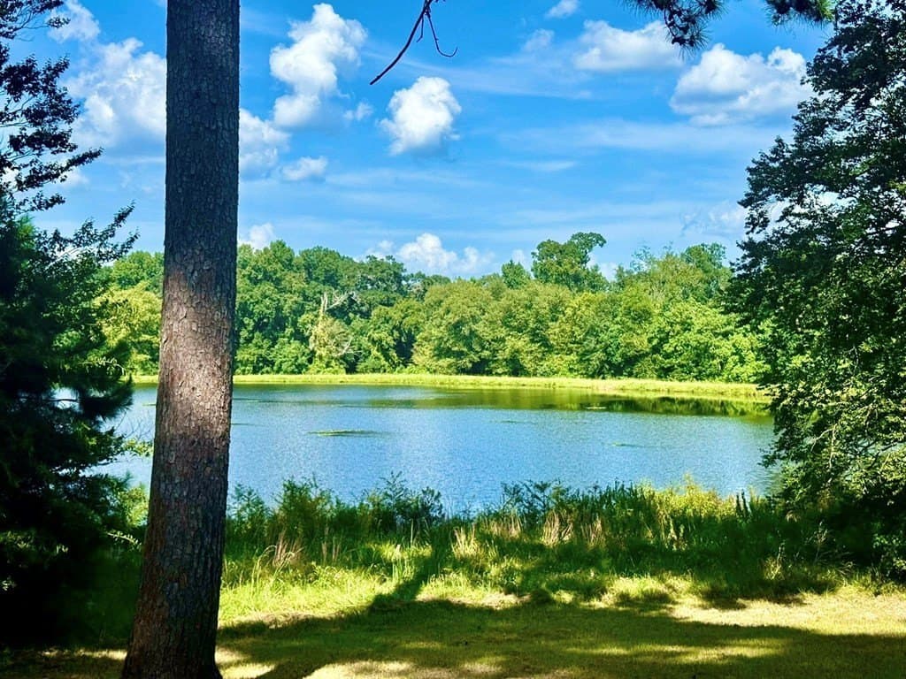 4.97 acres in Texas County - photo 3