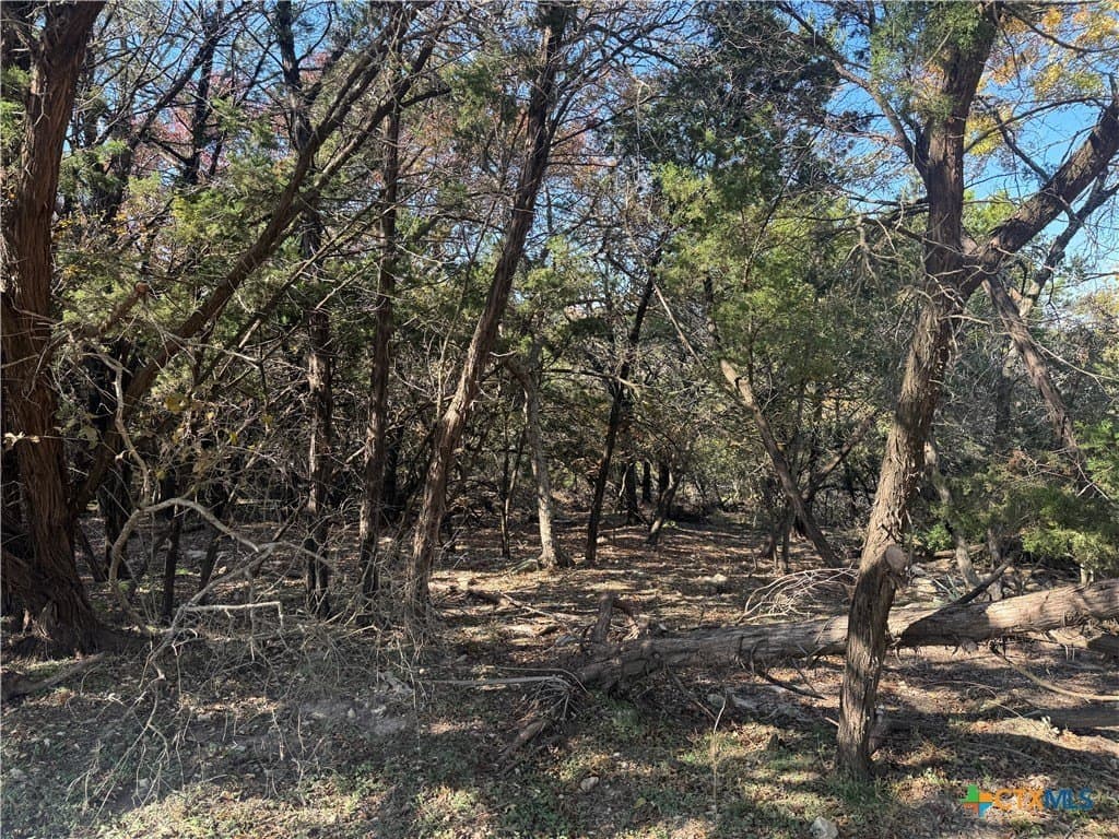 0.6 acres in Bell County featured view