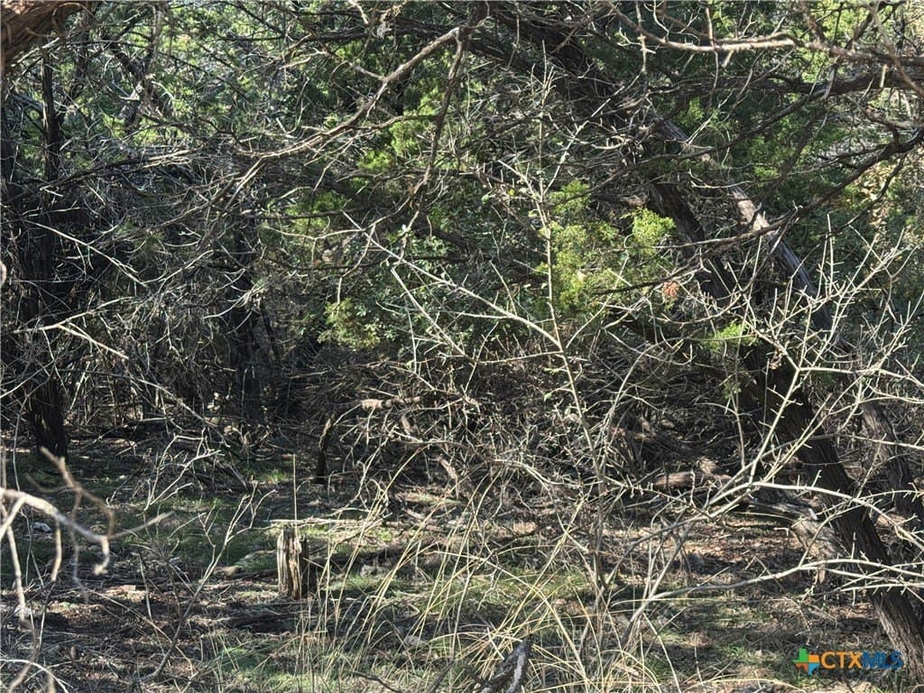 0.6 acres in Bell County gallery image 3