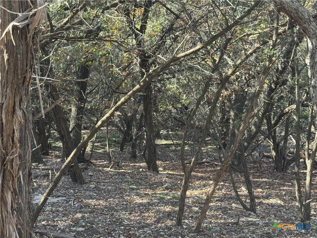 0.6 acres in Bell County gallery image 4