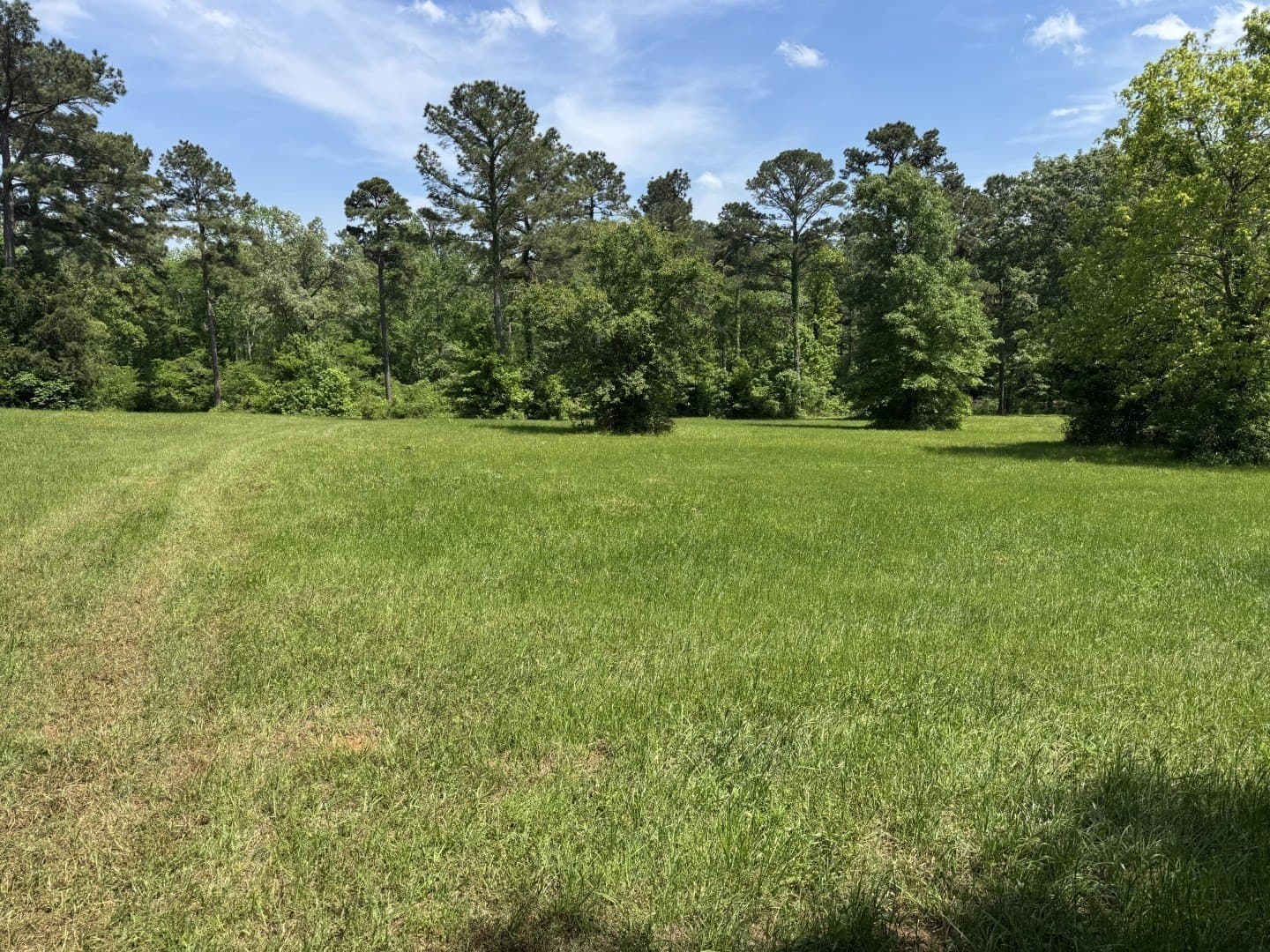 48 acres in Rusk County gallery image 4