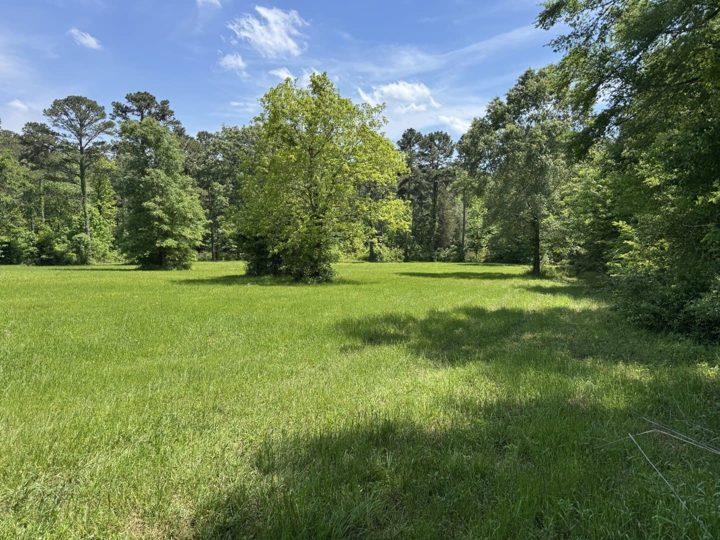 48 acres in Rusk County - photo 7