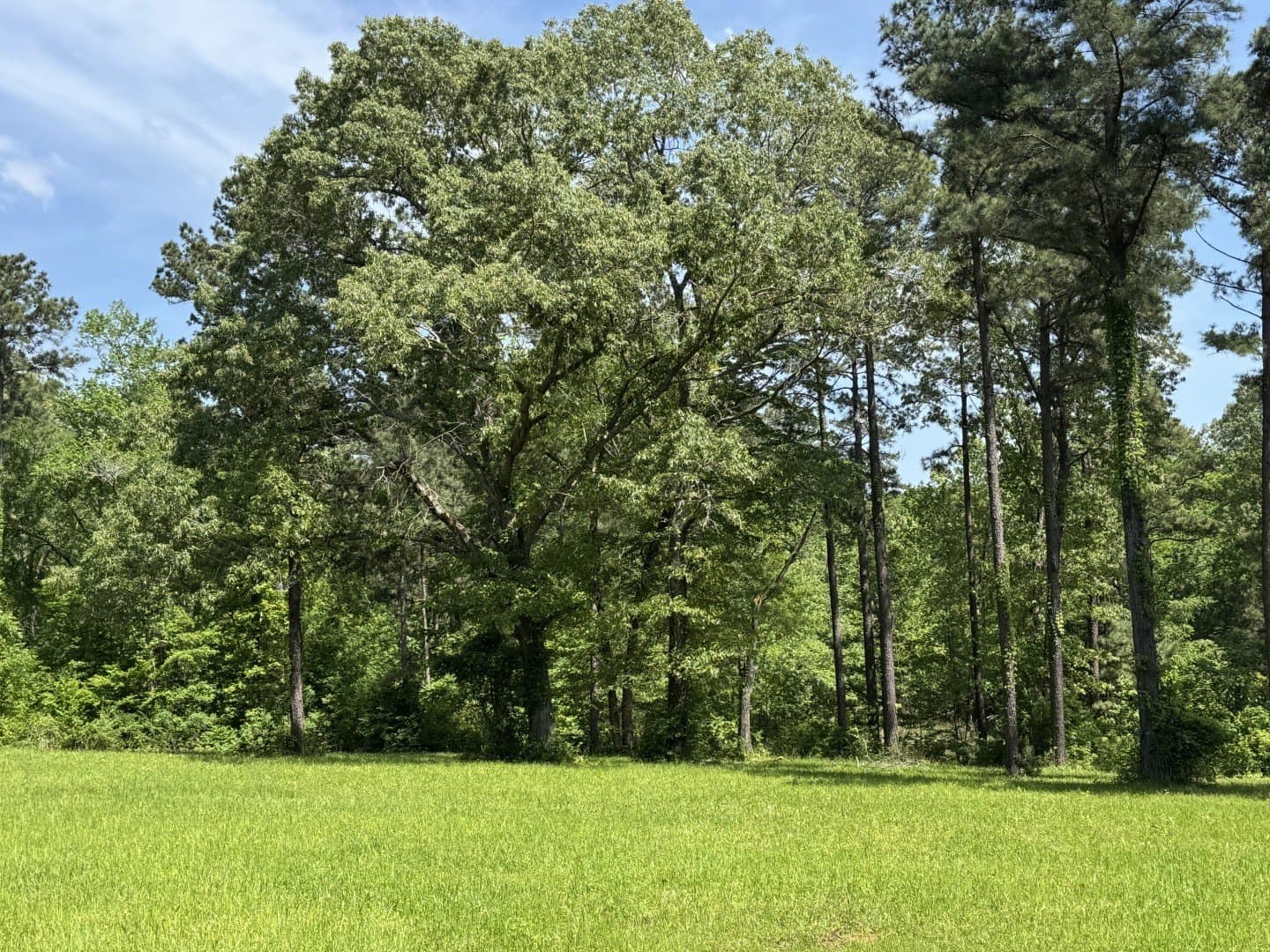 48 acres in Rusk County - photo 6