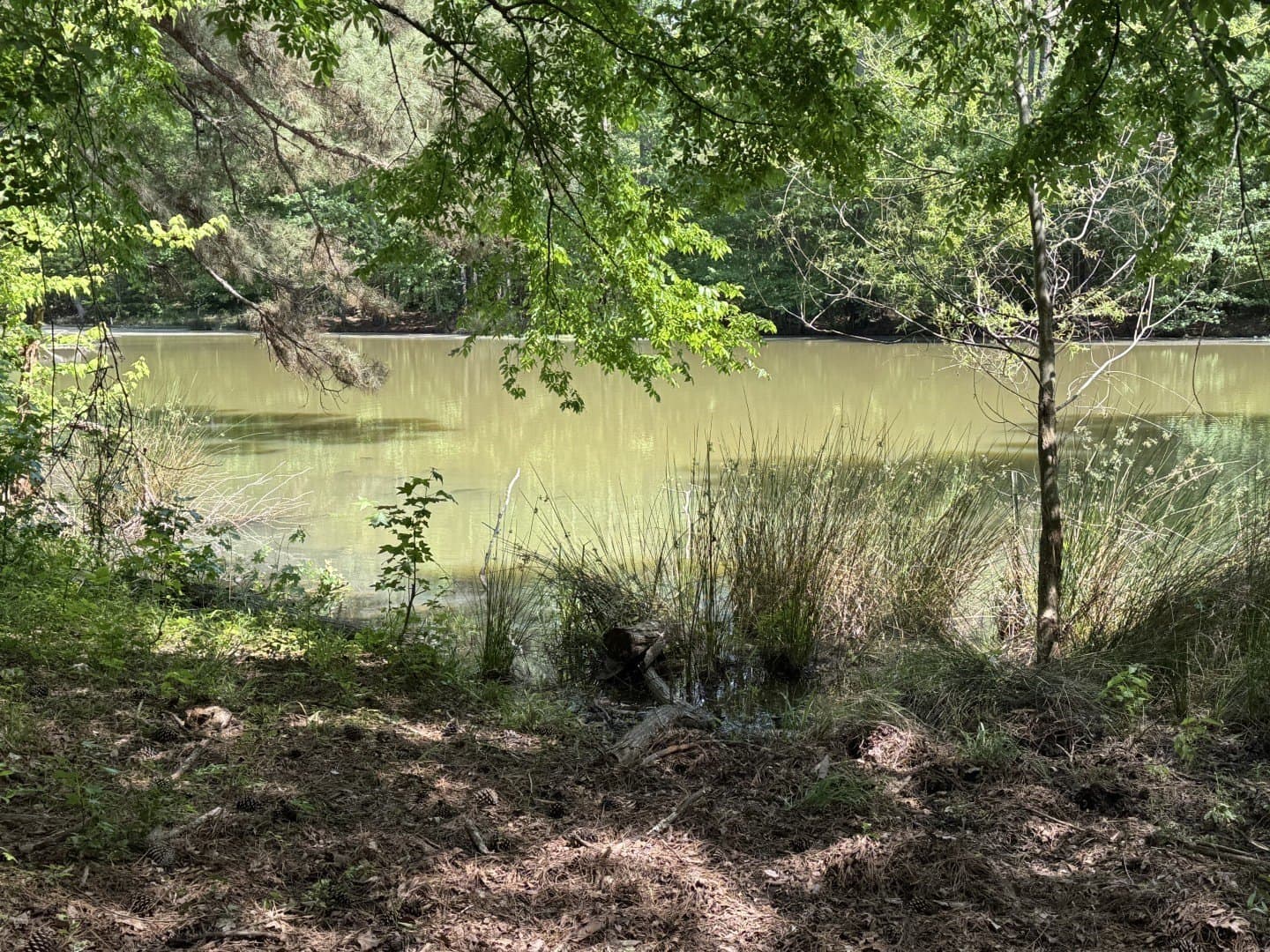 48 acres in Rusk County