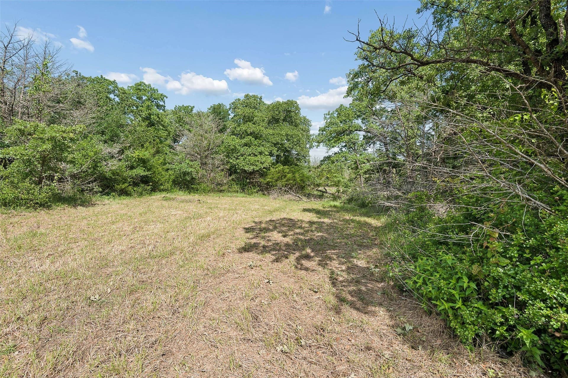 23.3 acres in Wise County gallery image 4