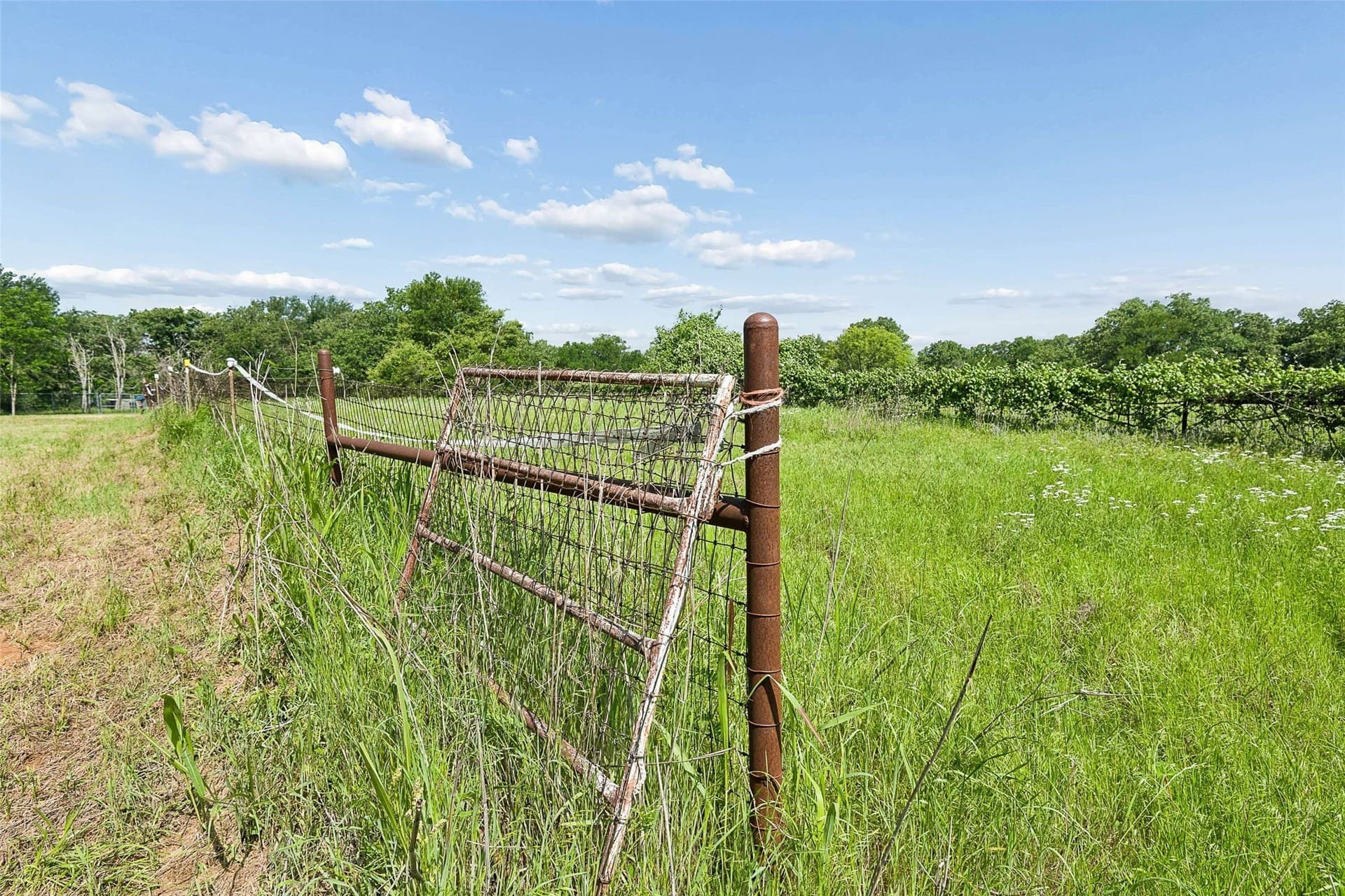 23.3 acres in Wise County - photo 34