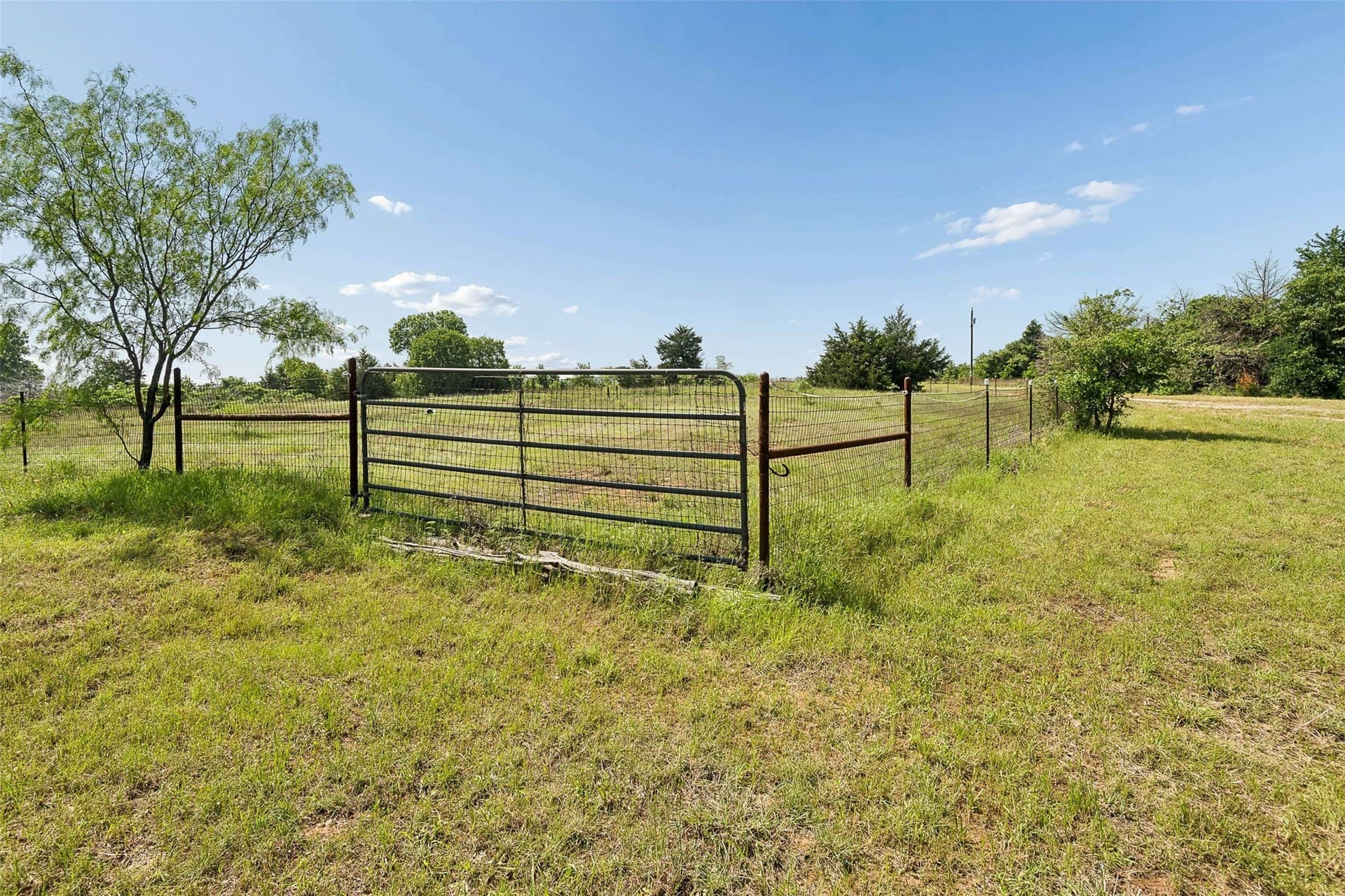 23.3 acres in Wise County - photo 6