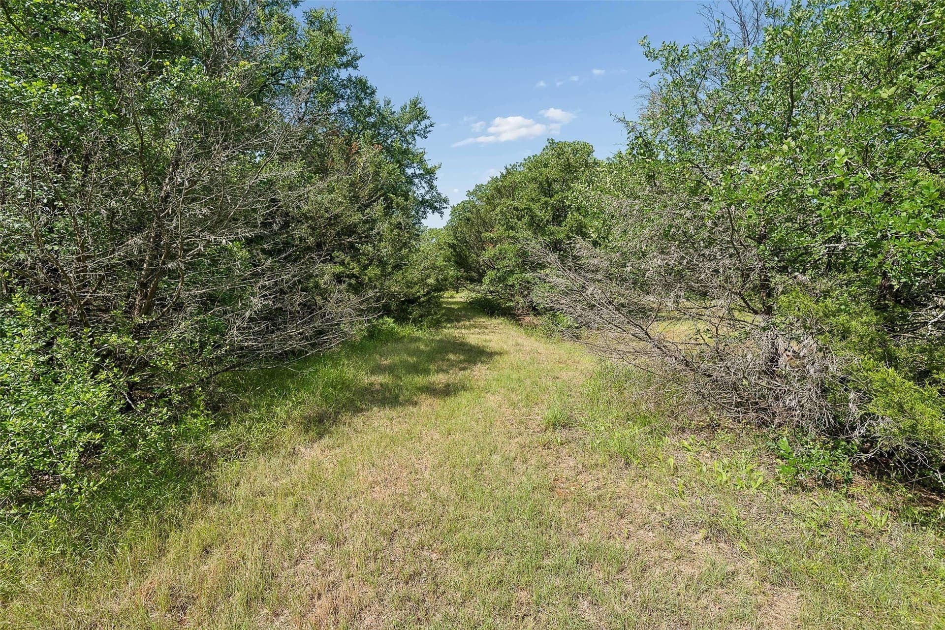 23.3 acres in Wise County - photo 31