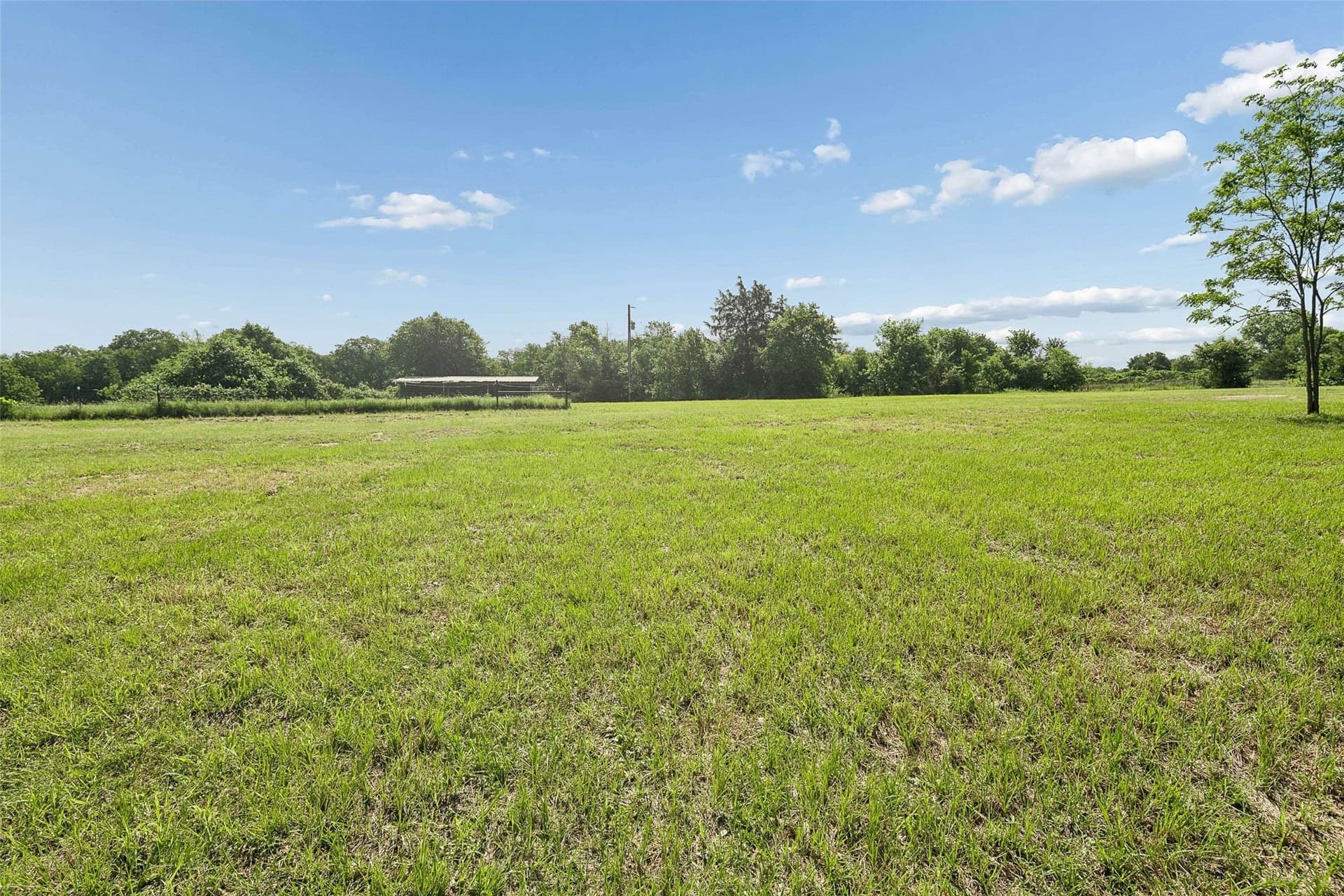 23.3 acres in Wise County - photo 8