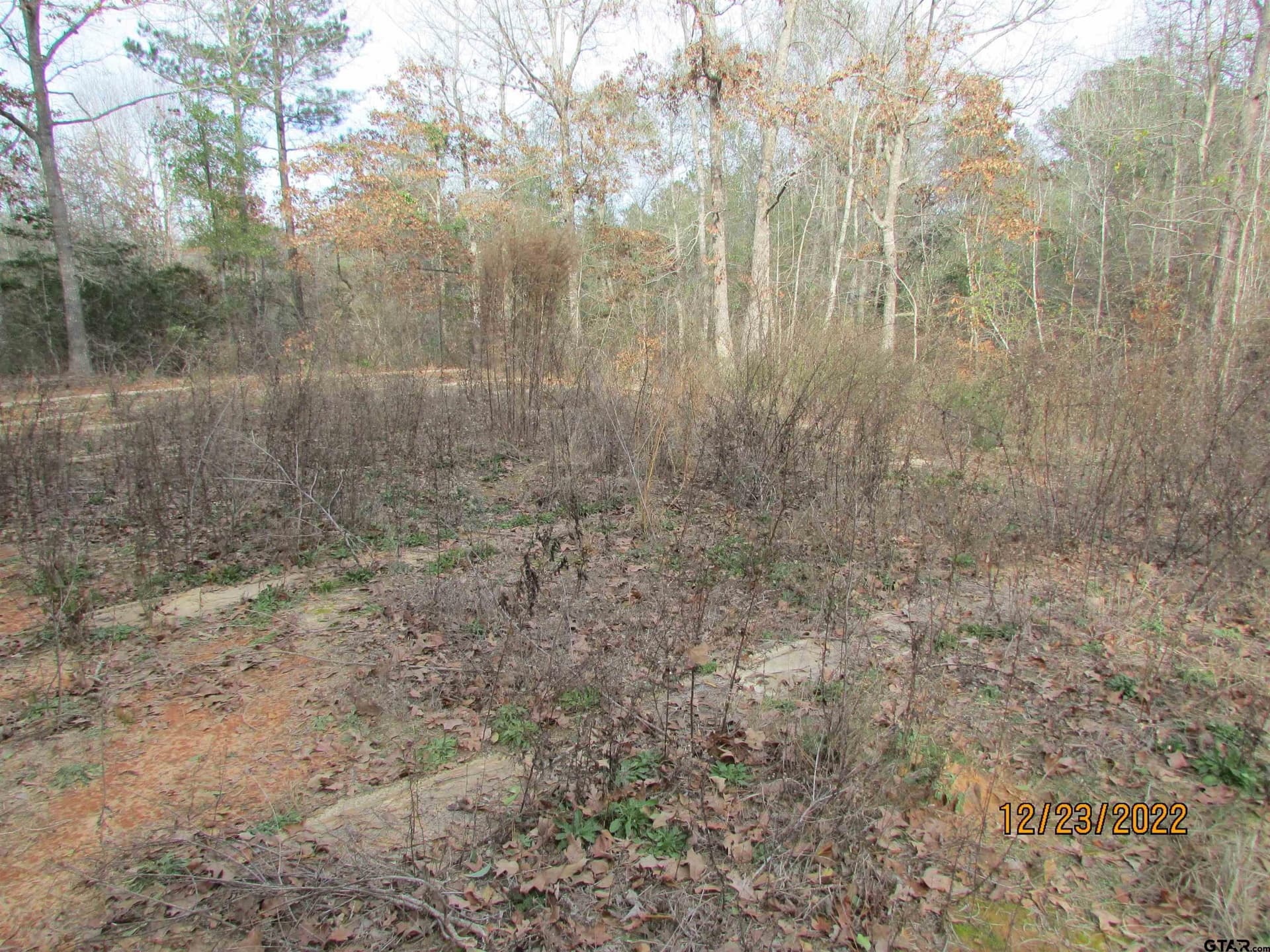 9.27 acres in Henderson County featured view