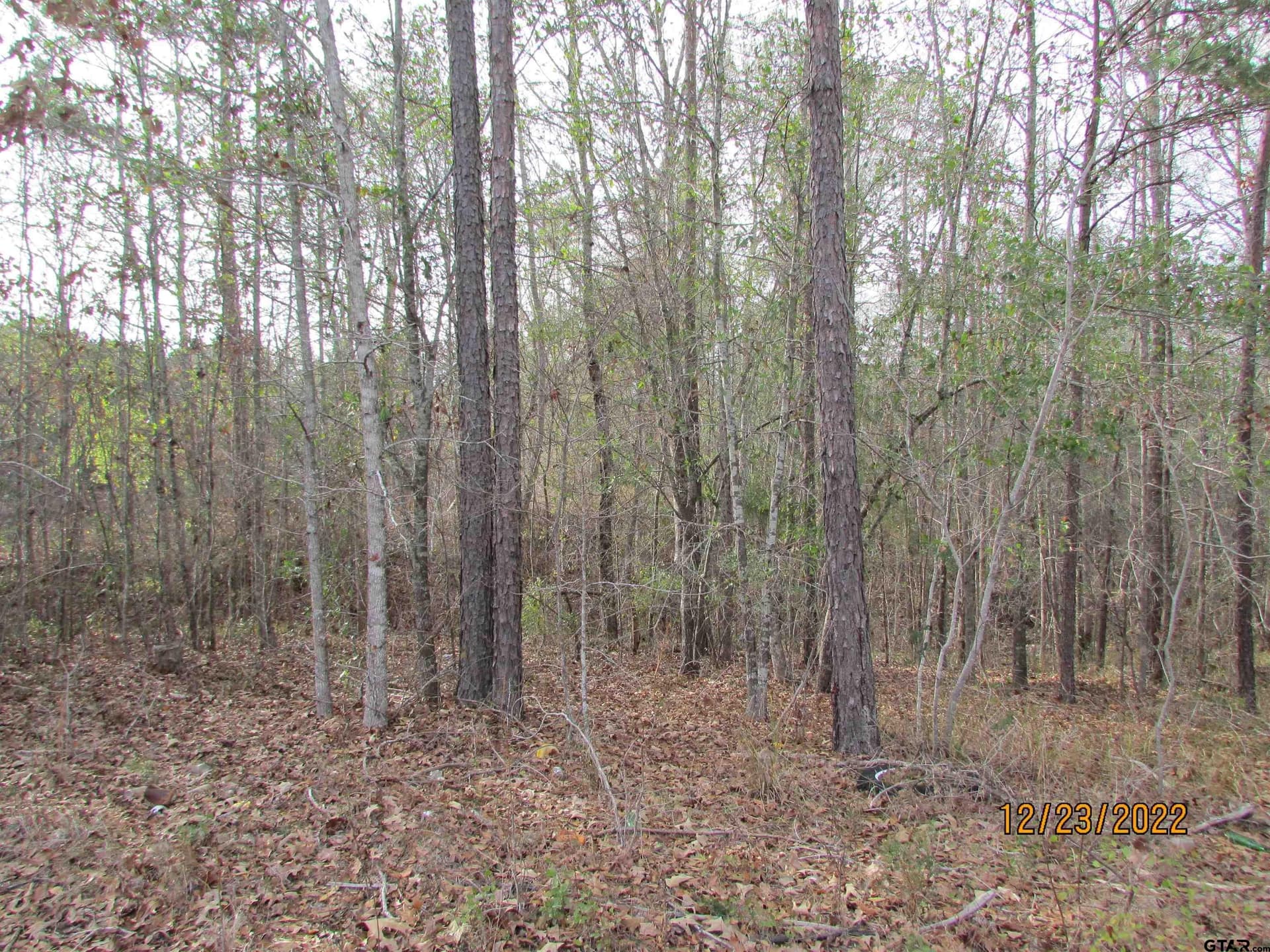 9.27 acres in Henderson County gallery image 3