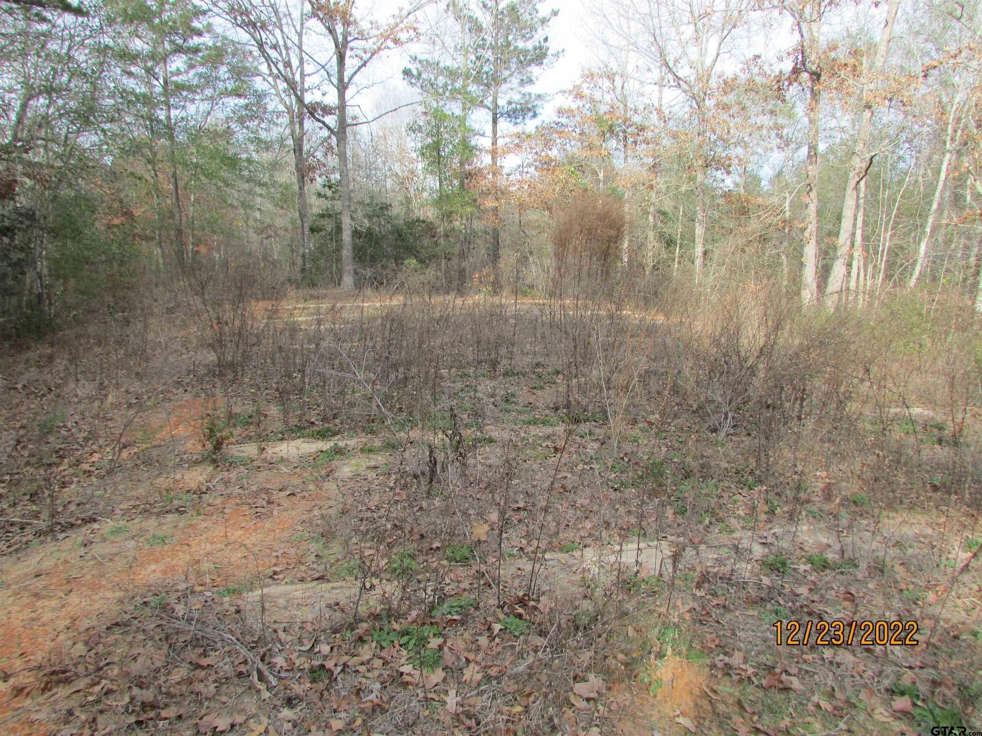 9.27 acres in Henderson County gallery image 4