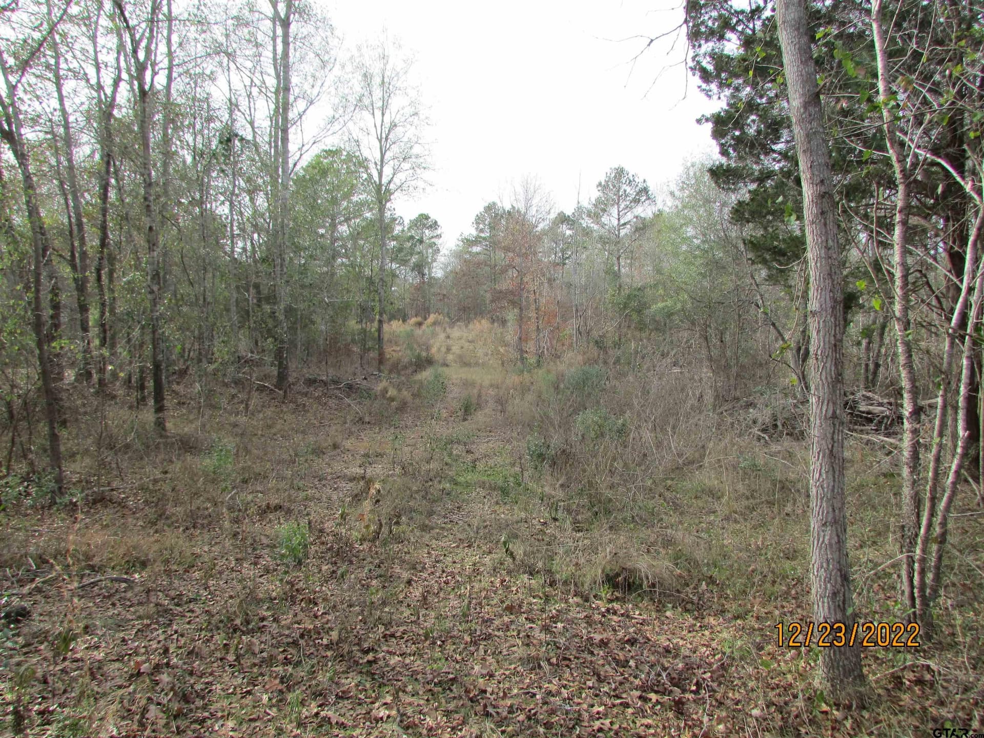 9.27 acres in Henderson County
