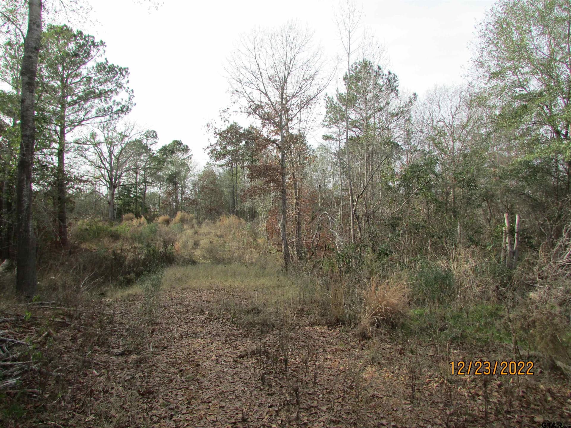 9.27 acres in Henderson County gallery image 2