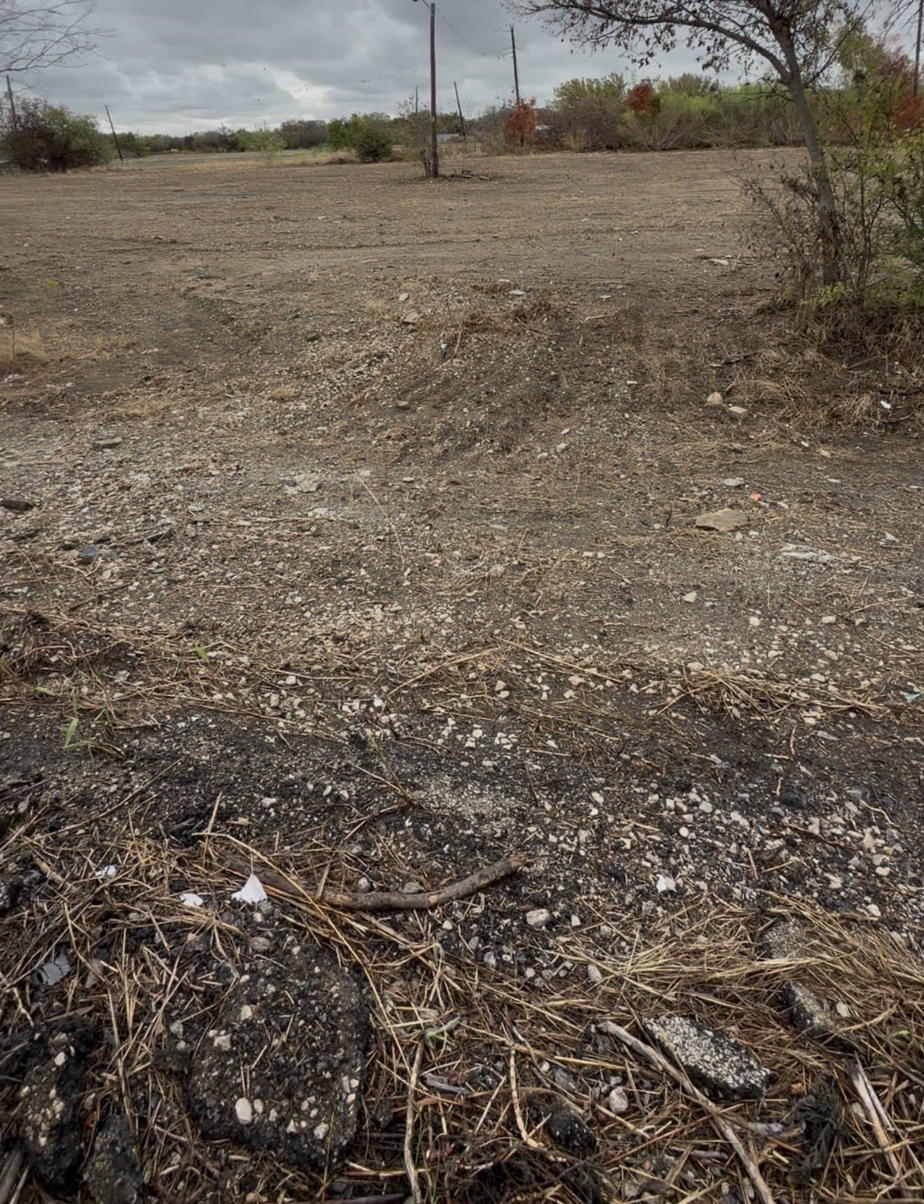 0.55 acres in Dallas County - photo 2