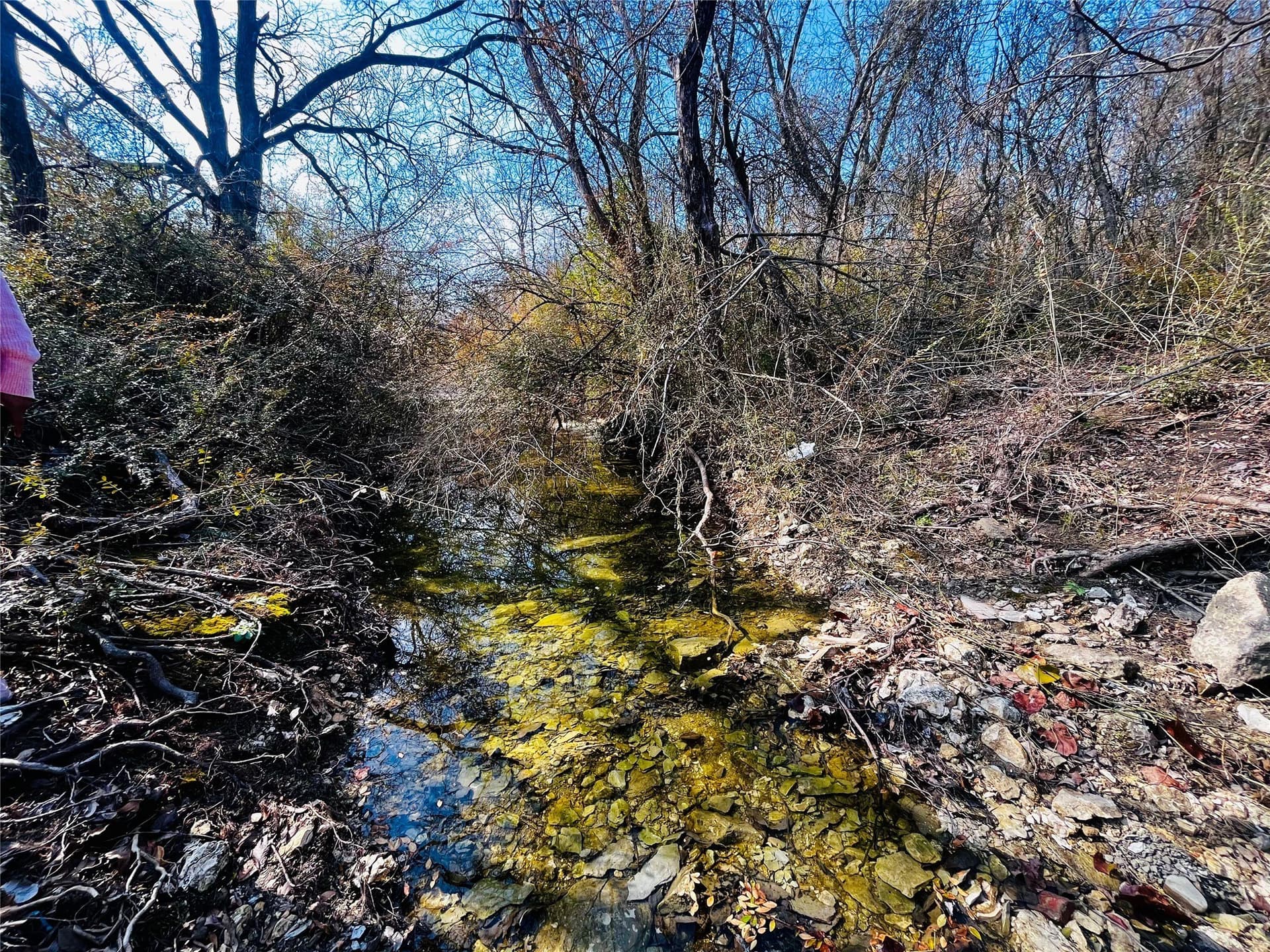 1.73 acres in Dallas County - photo 4