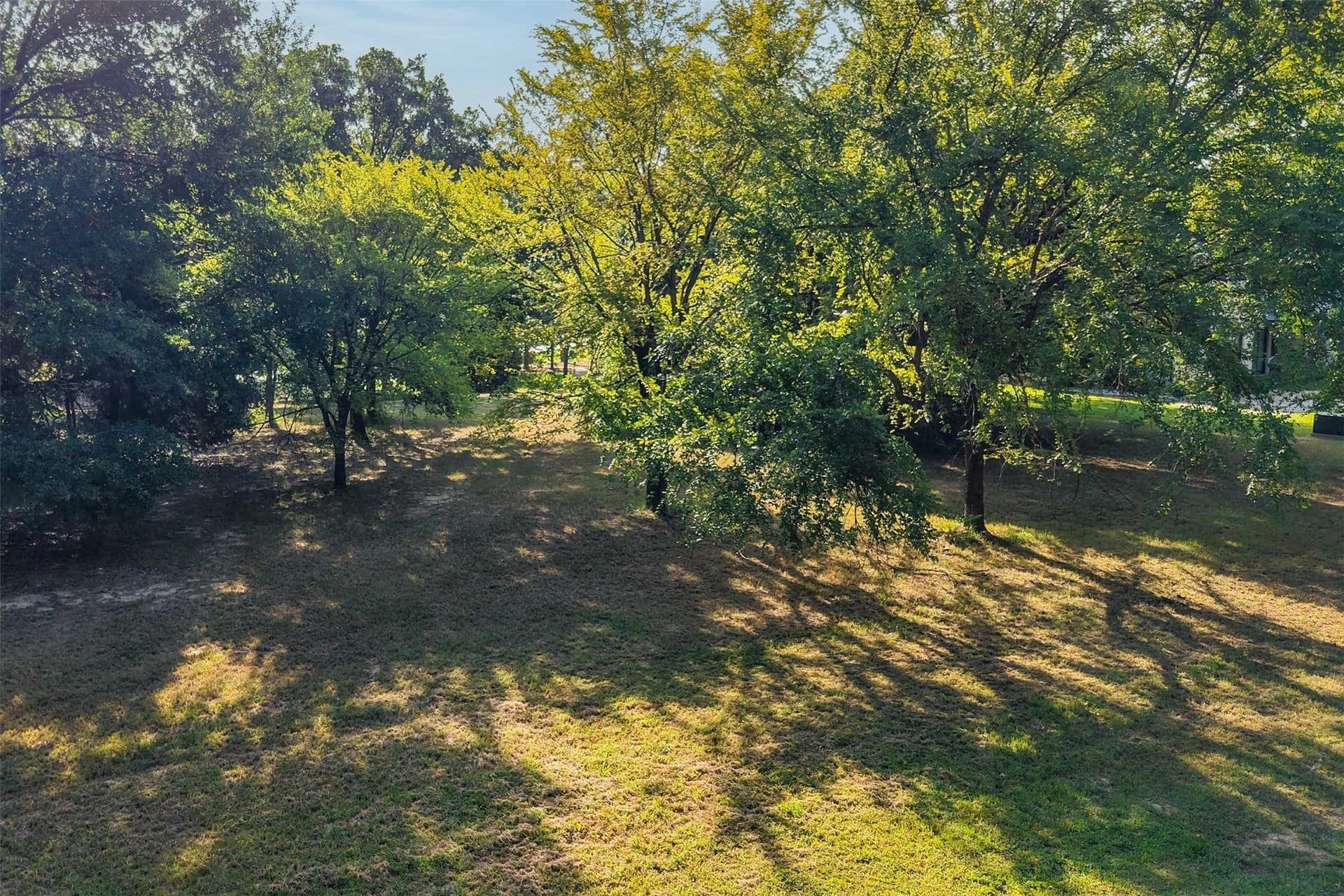 1 acres in Henderson County - photo 6