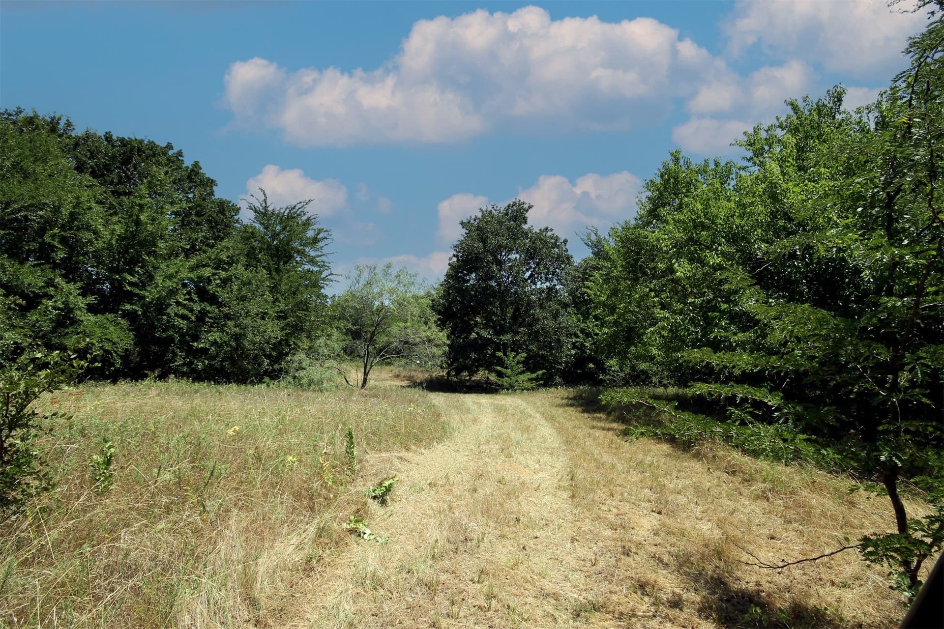 16.72 acres in Denton County - photo 11