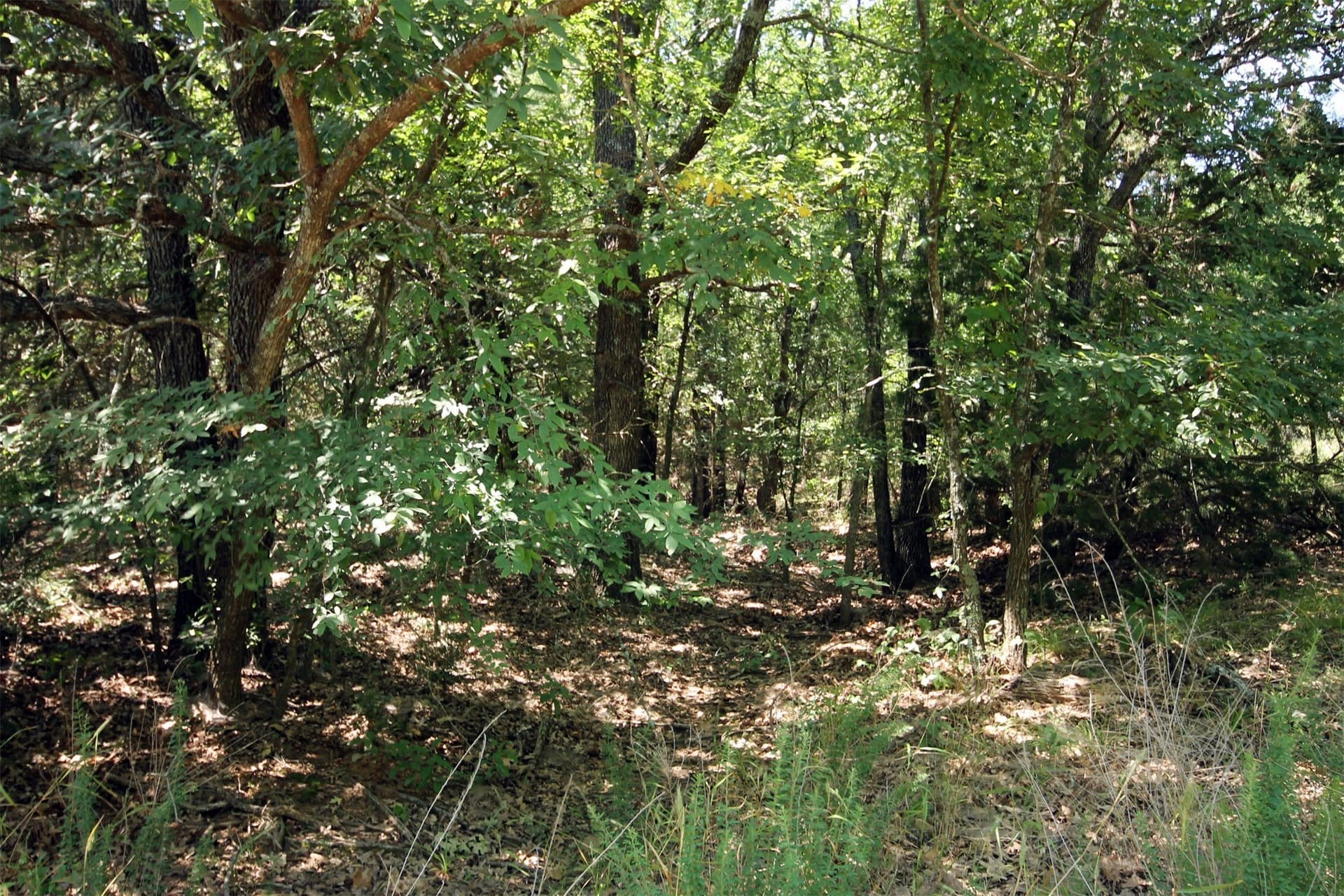 16.72 acres in Denton County - photo 13