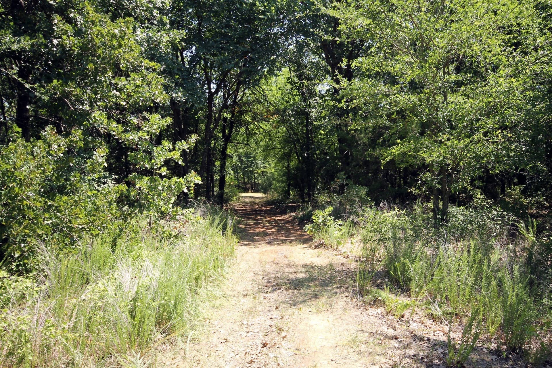 16.72 acres in Denton County - photo 9