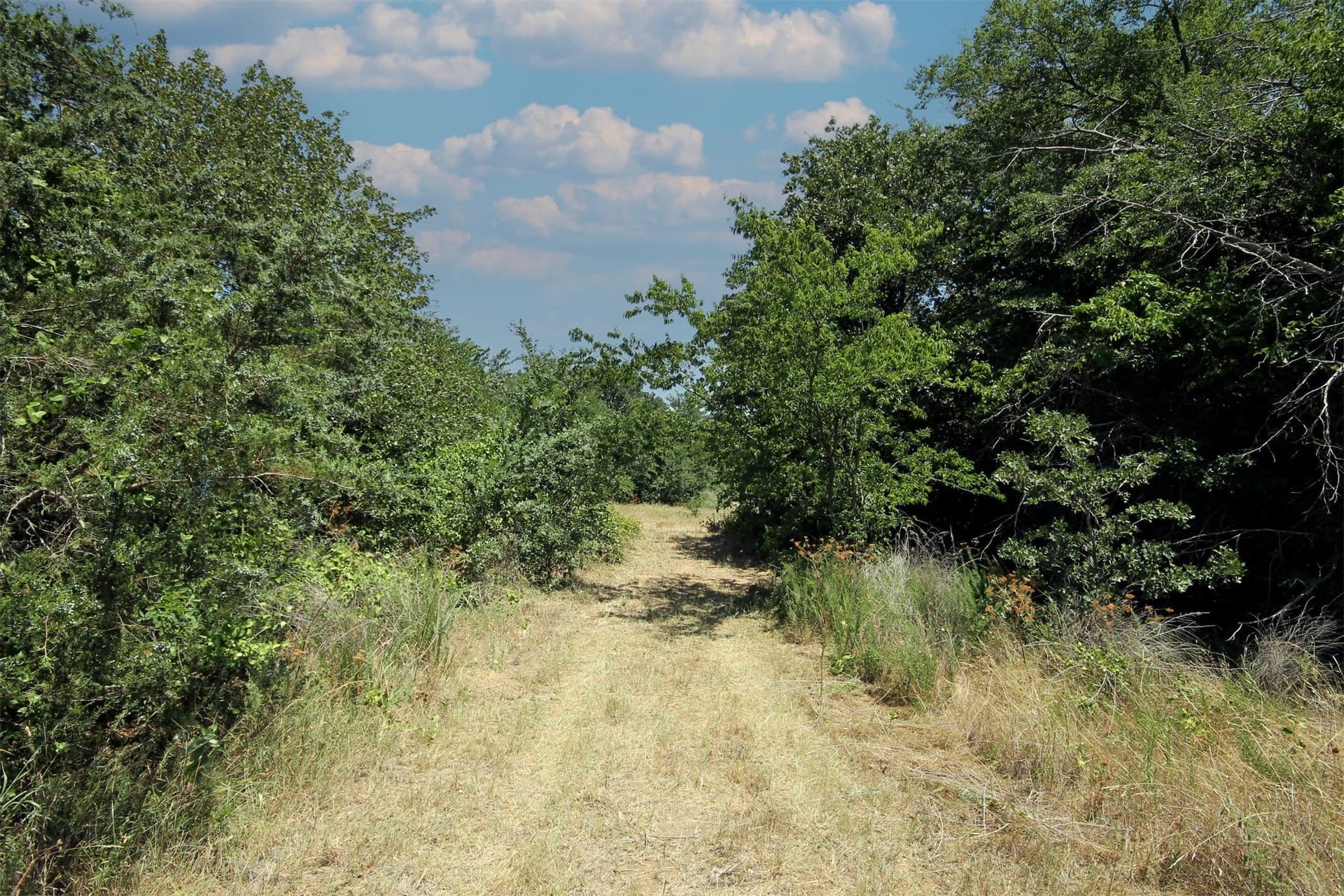 16.72 acres in Denton County - photo 10