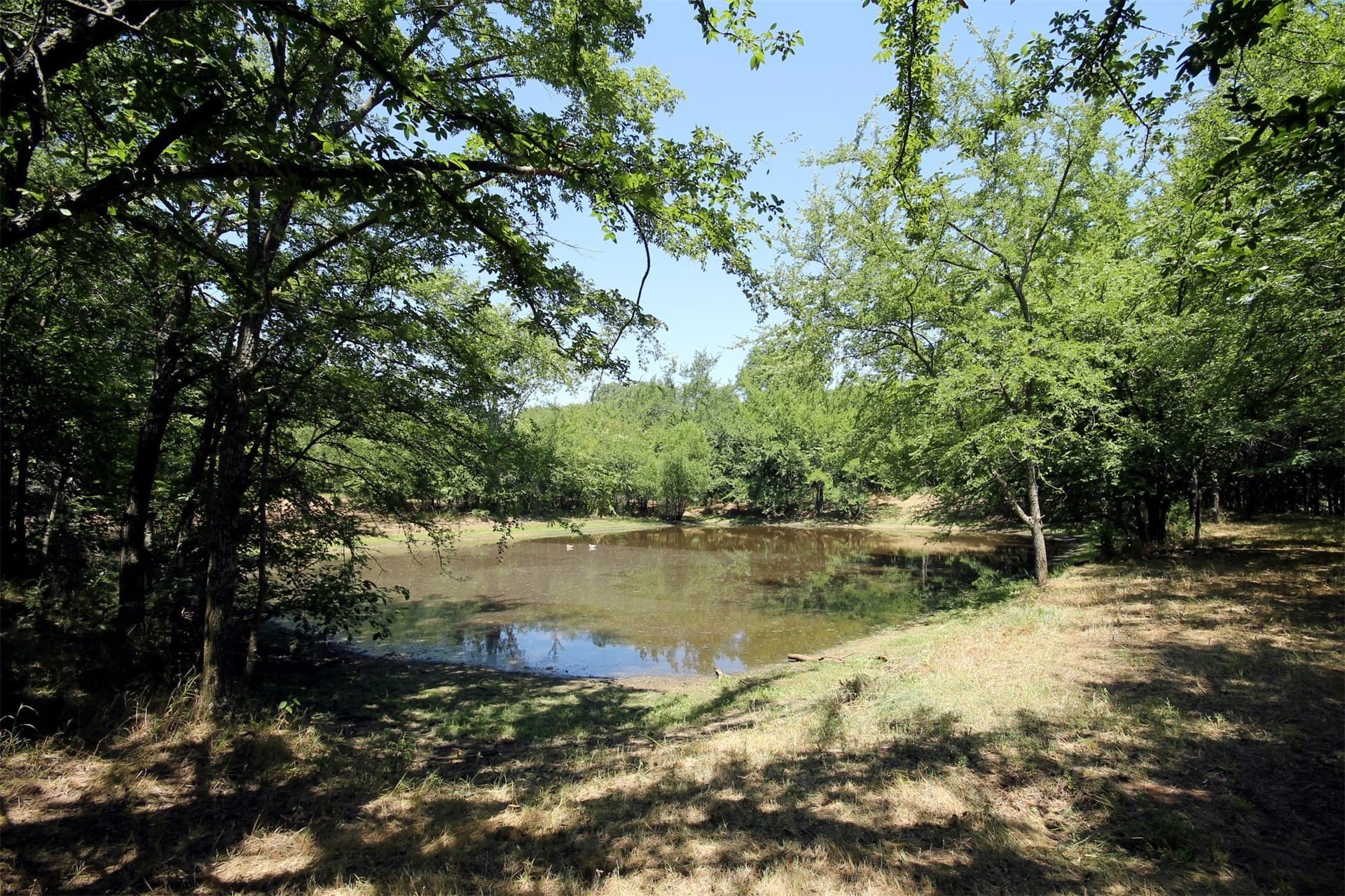 16.72 acres in Denton County - photo 8