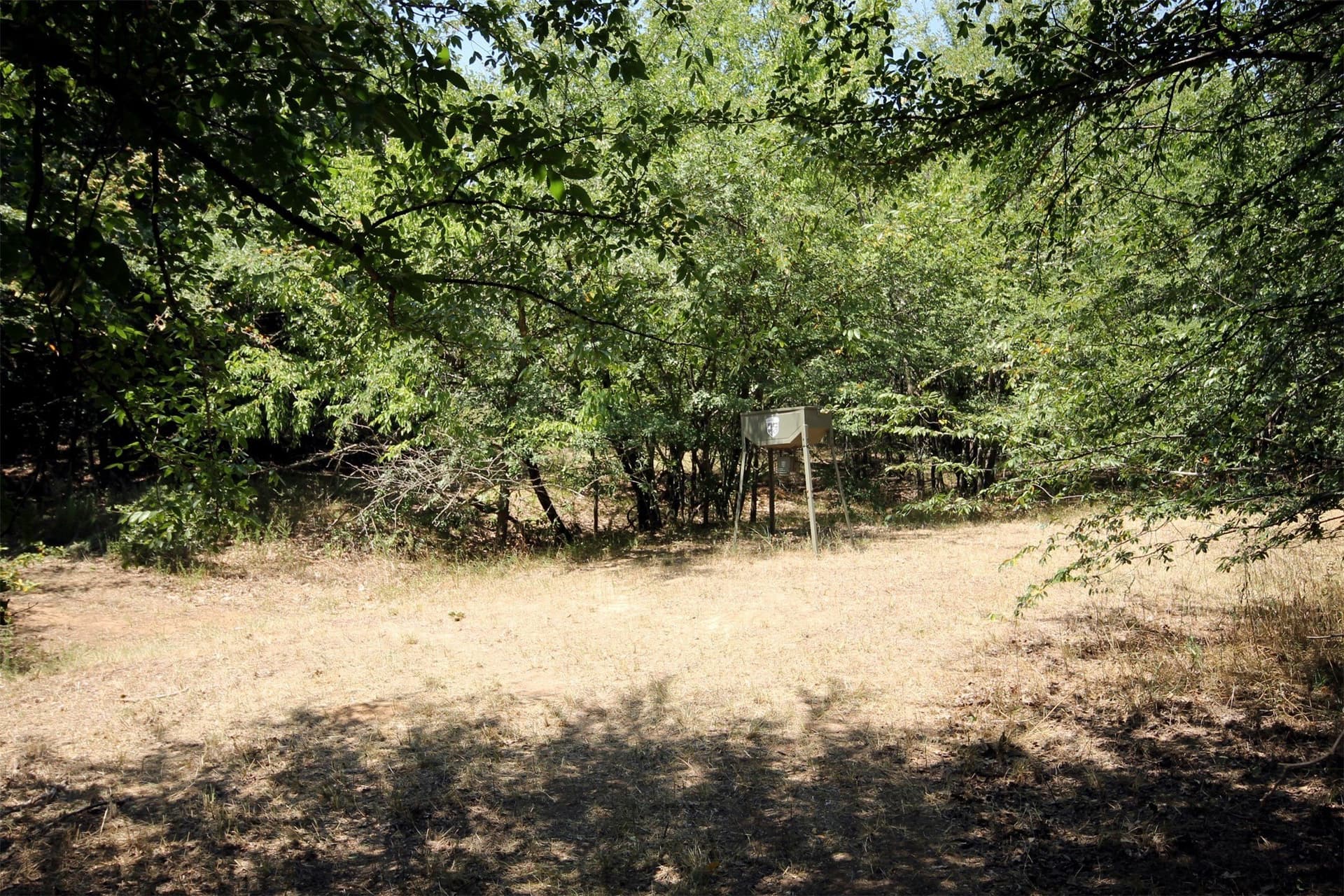 16.72 acres in Denton County - photo 15