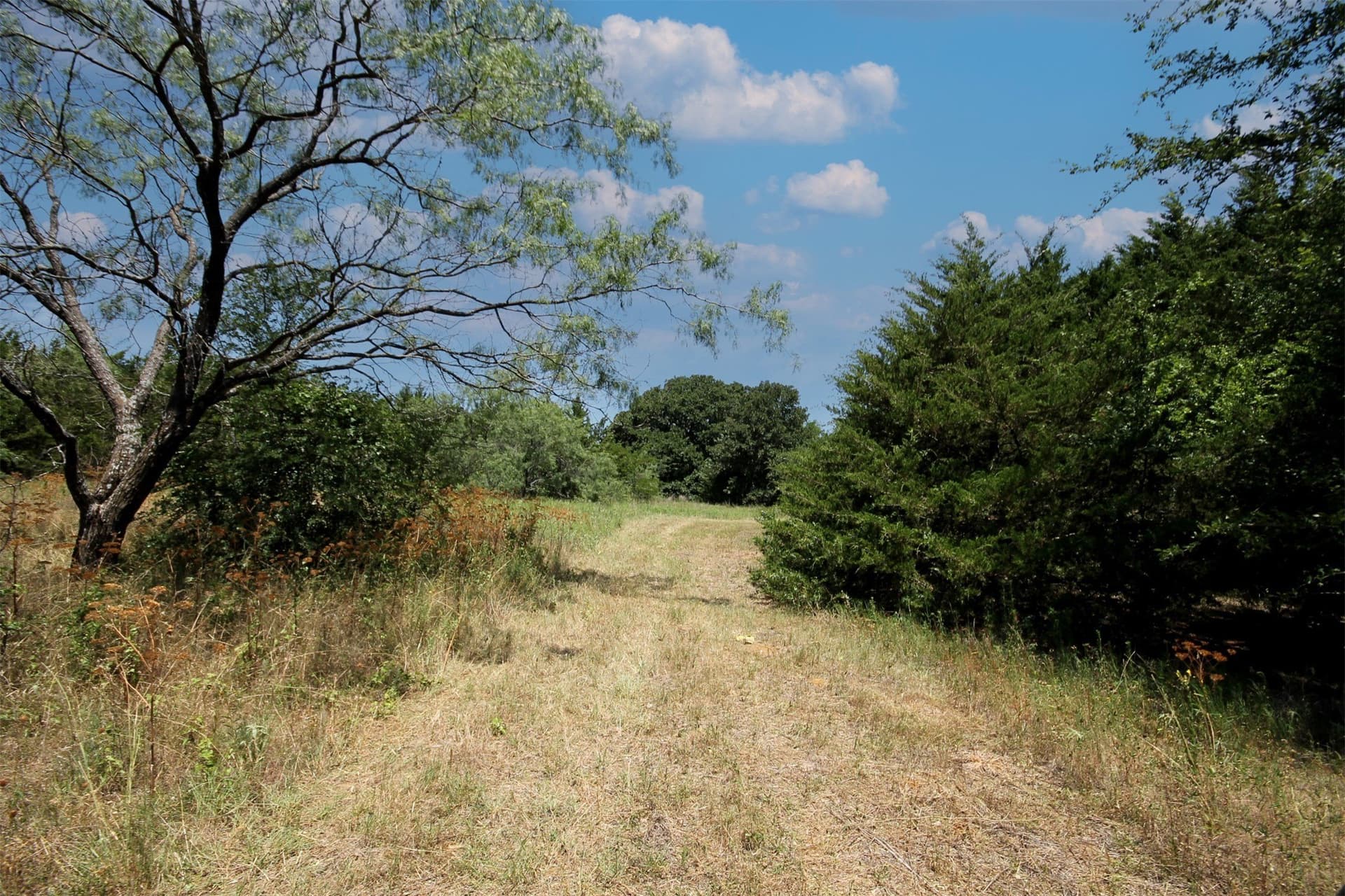 16.72 acres in Denton County - photo 12