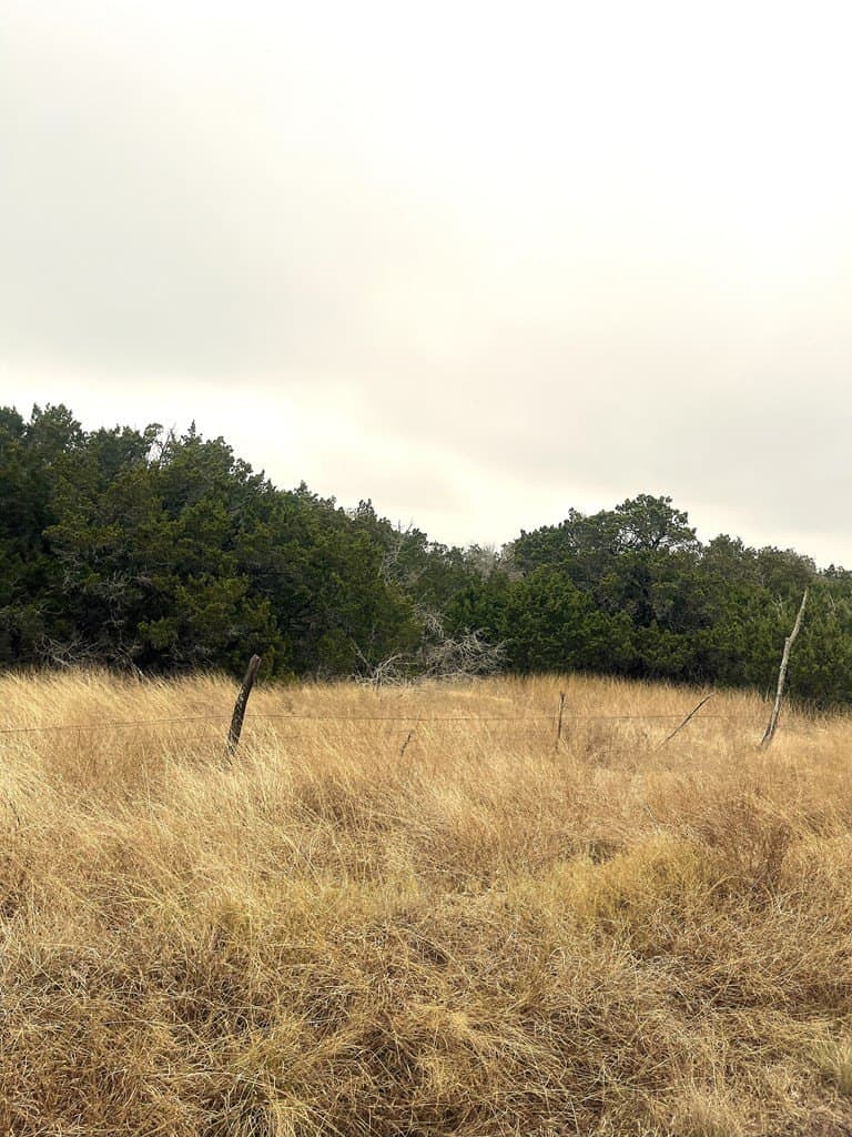 30.8 acres in Real County - photo 7