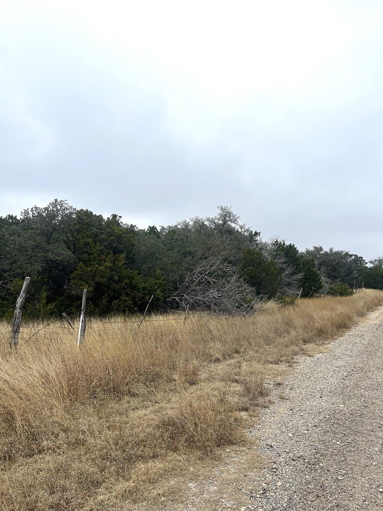 30.8 acres in Real County gallery image 4