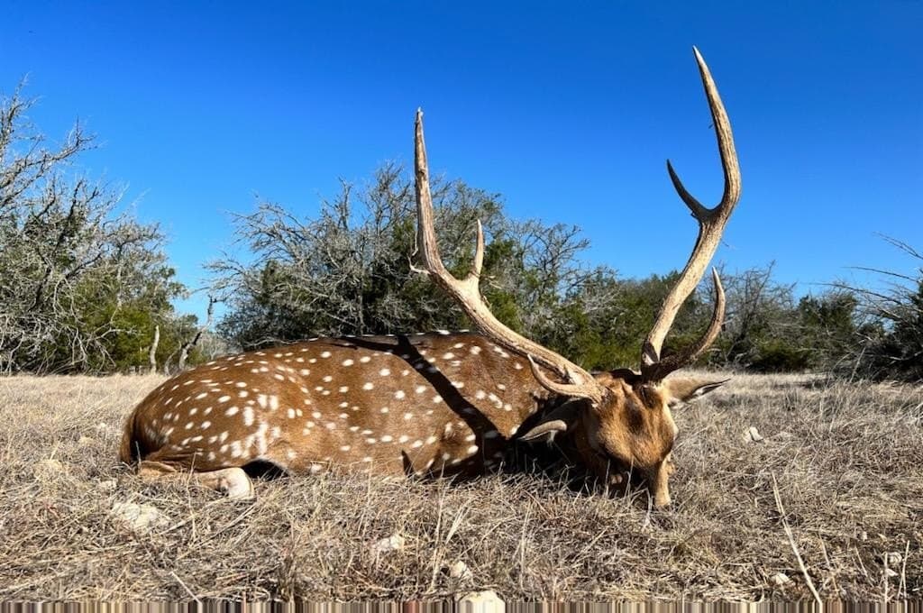 30.8 acres in Real County