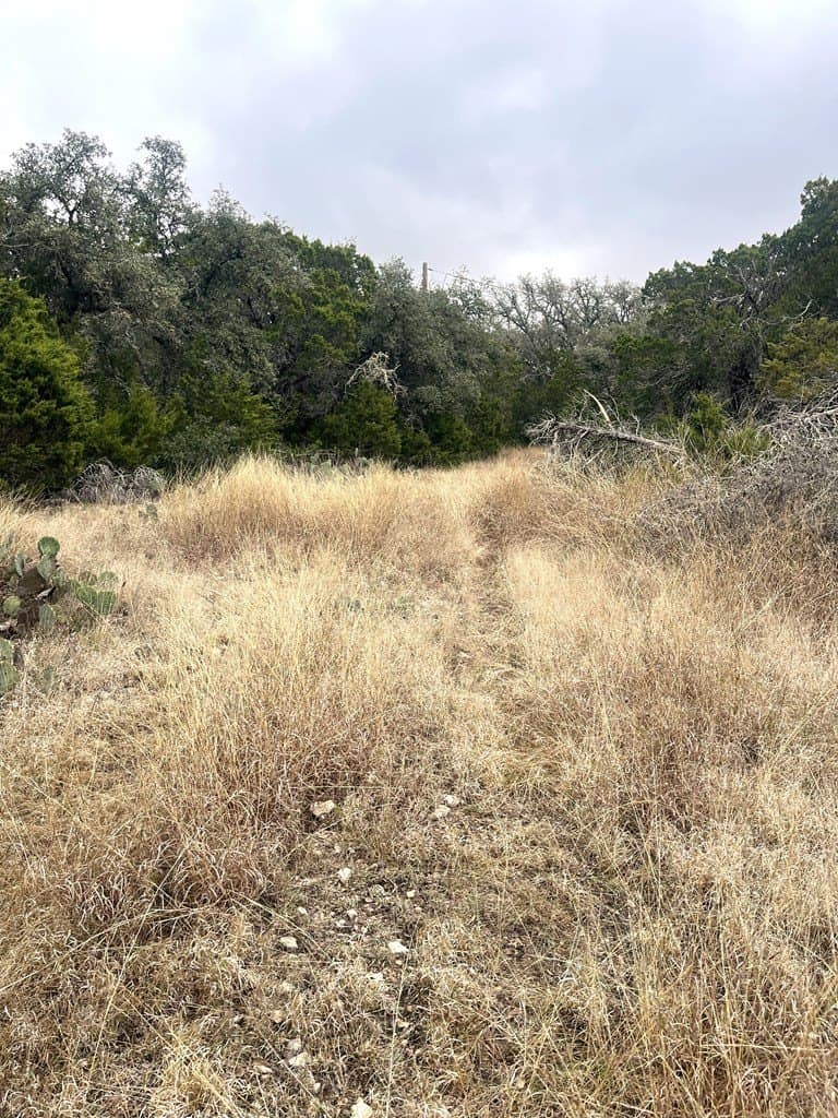 30.8 acres in Real County - photo 30