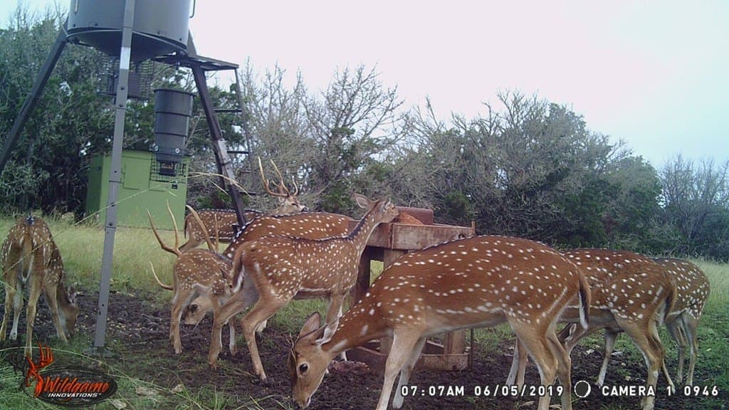30.8 acres in Real County - photo 41